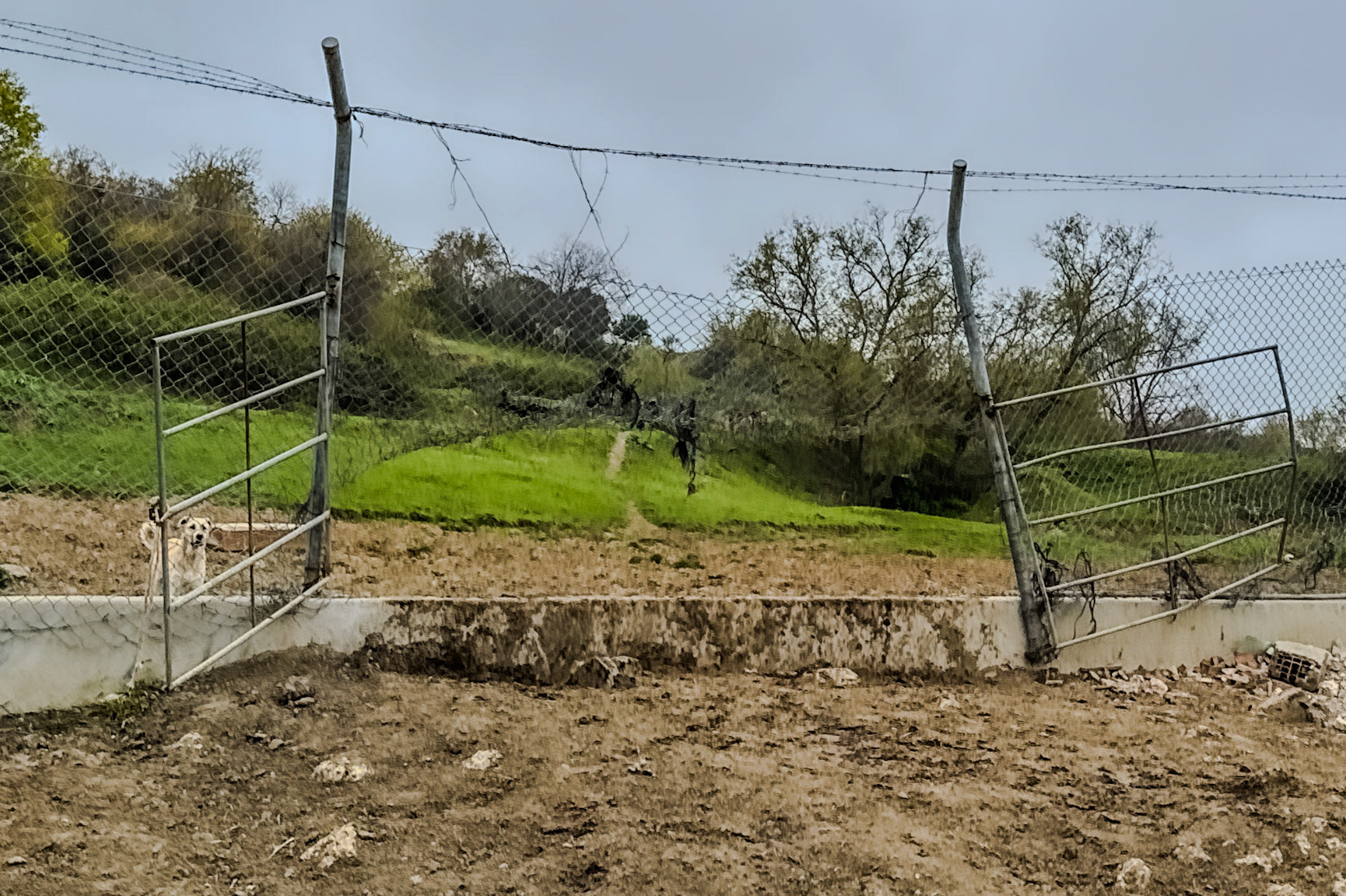 southern Yeniköy: improvised gate in the airport fence