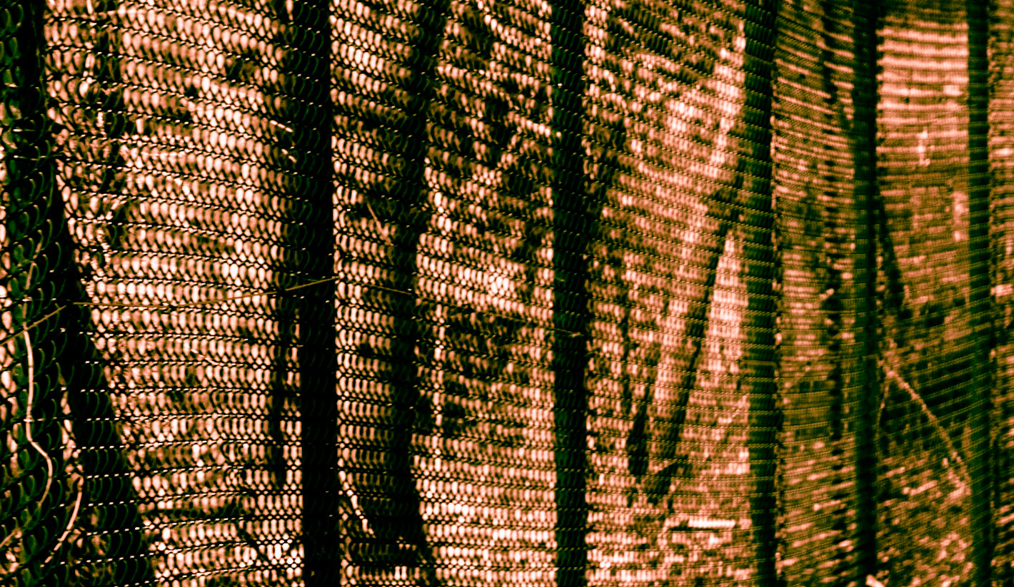 Kirazlı woods: the northern perimeter fence