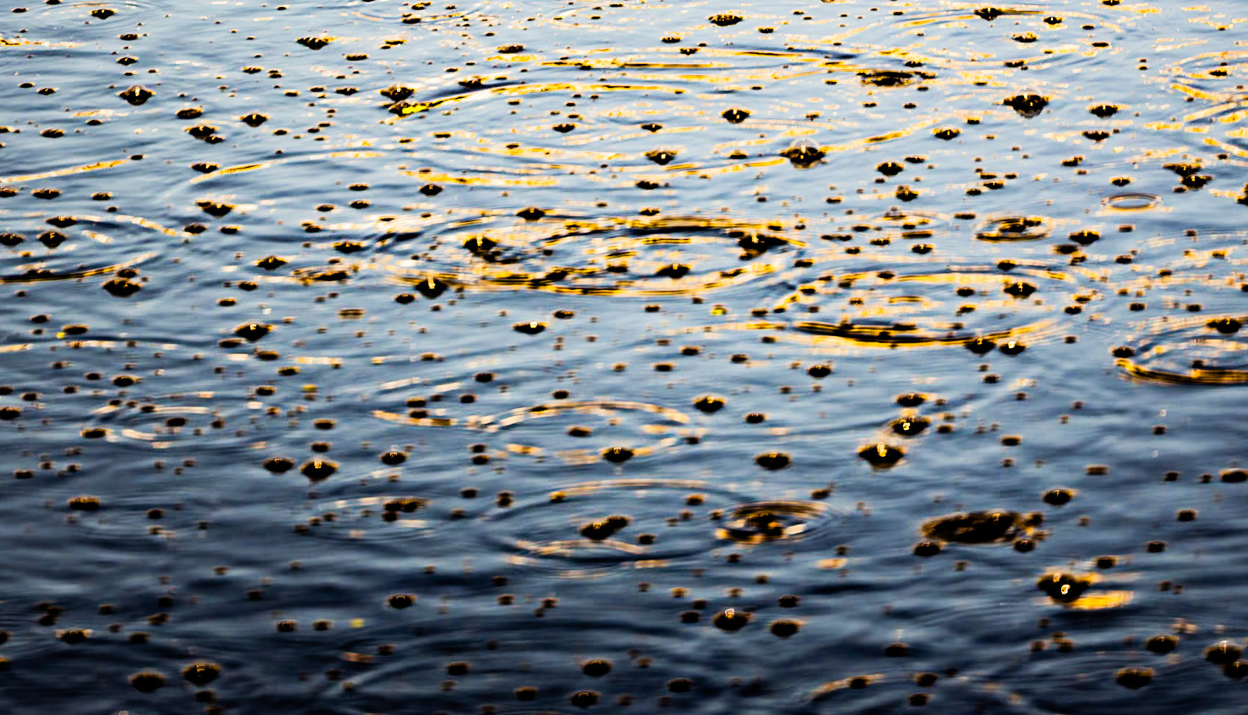 Sazlıdere stagnant river walk: frothing water