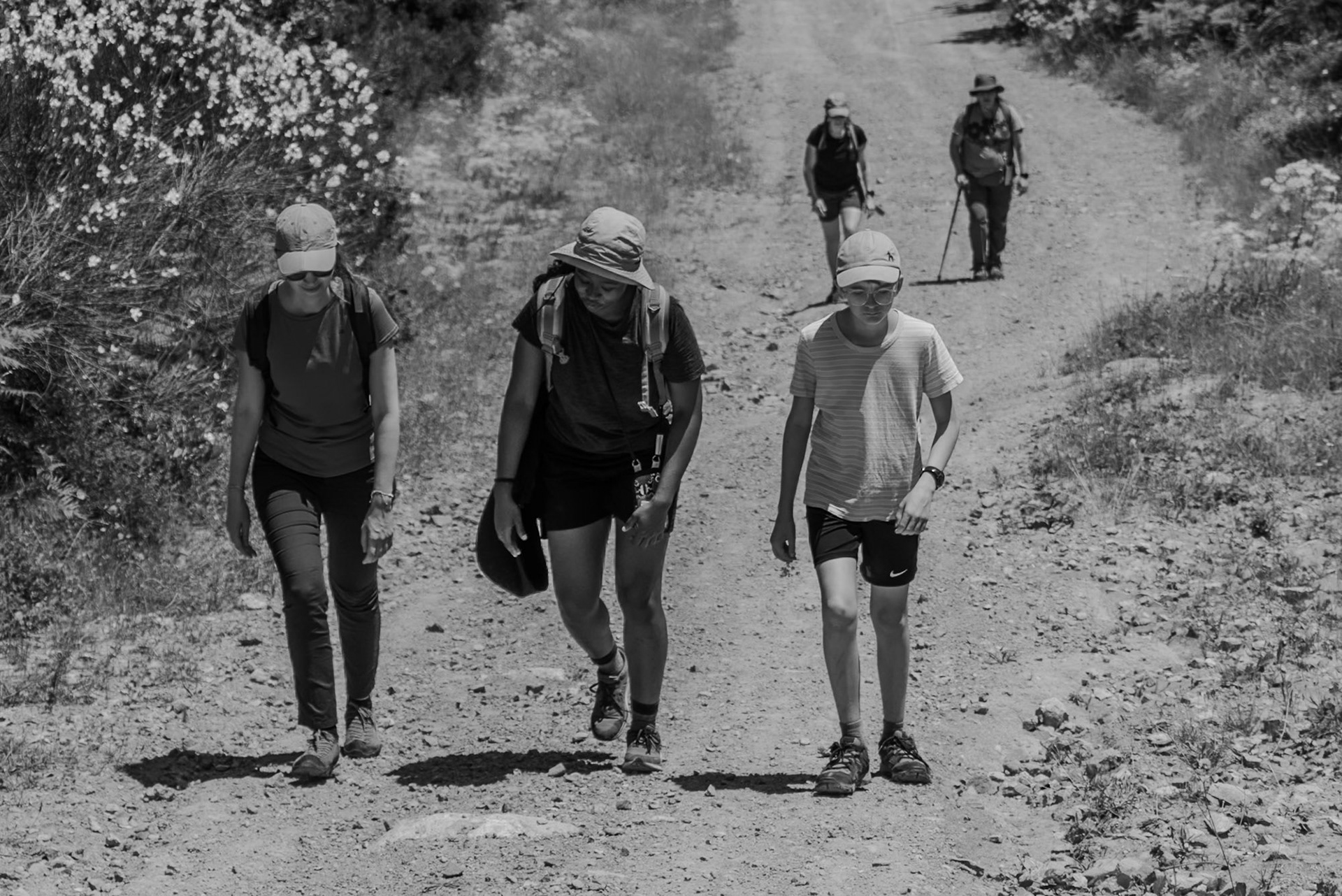 Kapaklı Tepesi: coming up to the crest