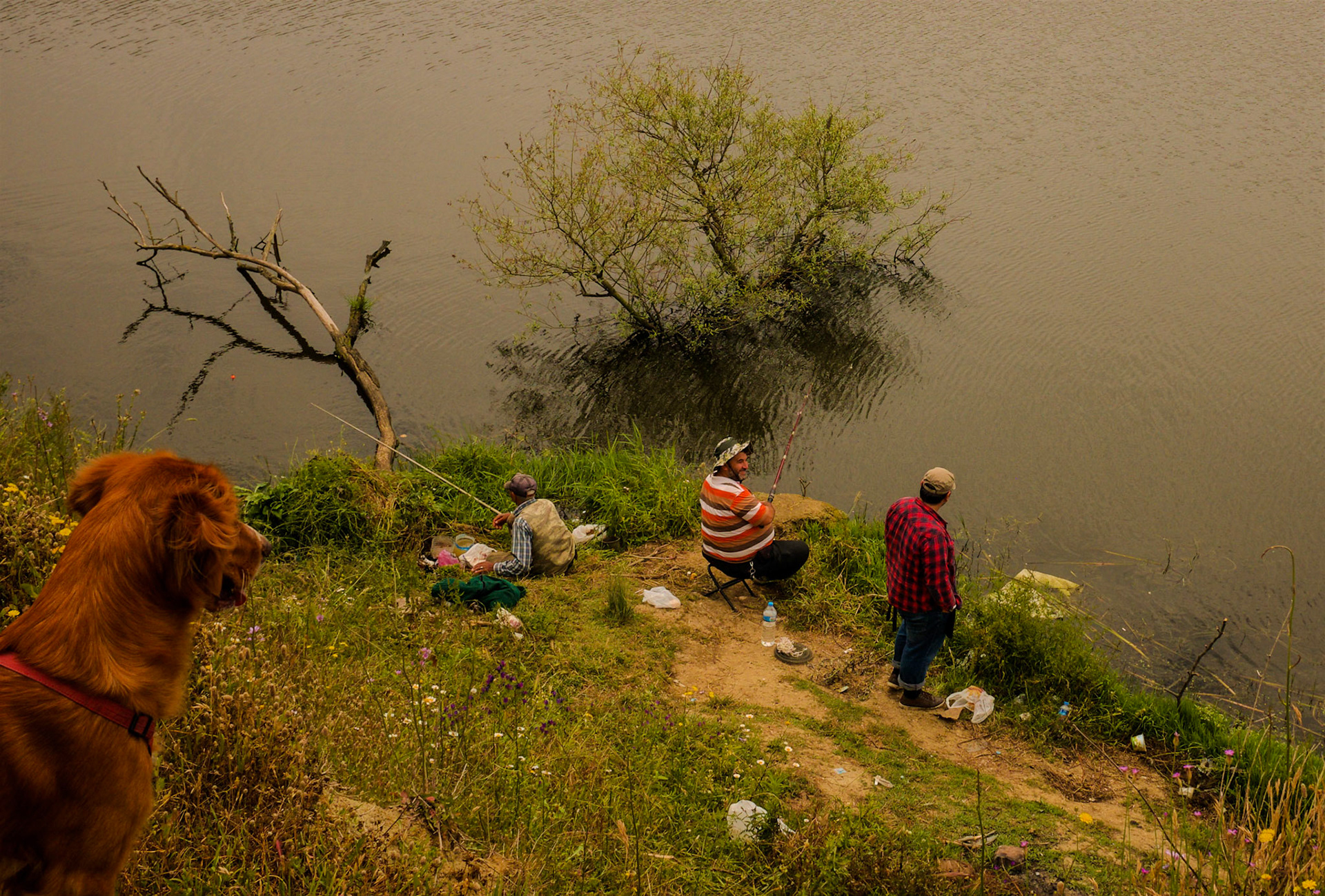Yeniköy: a dog watches fishermen by the big pond on the west of what's left of the abandoned opencast mine-workings (now the NE corner of Istanbul Airport); this pond is now the source of the Sazlıdere we follow west to Terkos