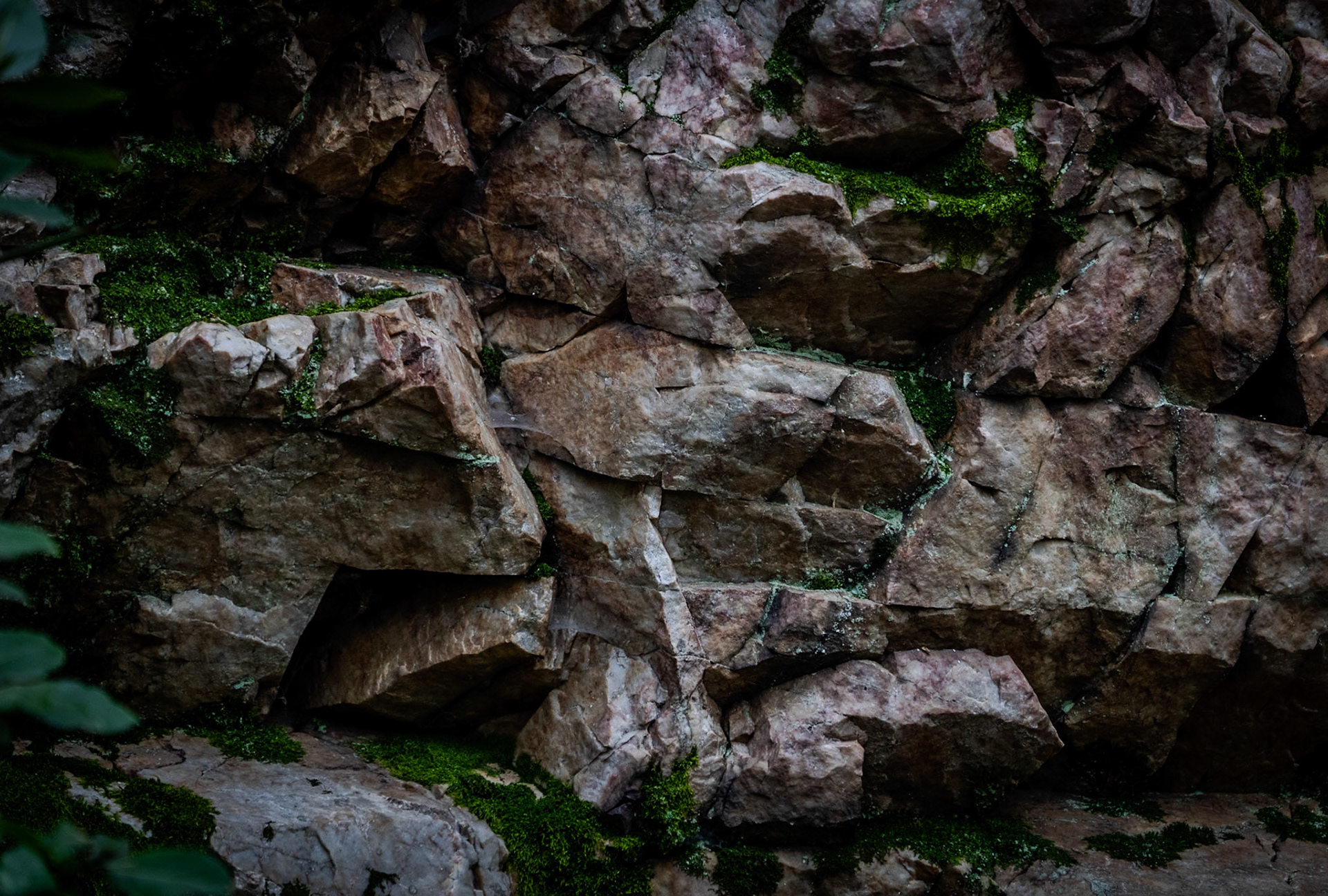 Dereseki forest traverse: rocky outcrop