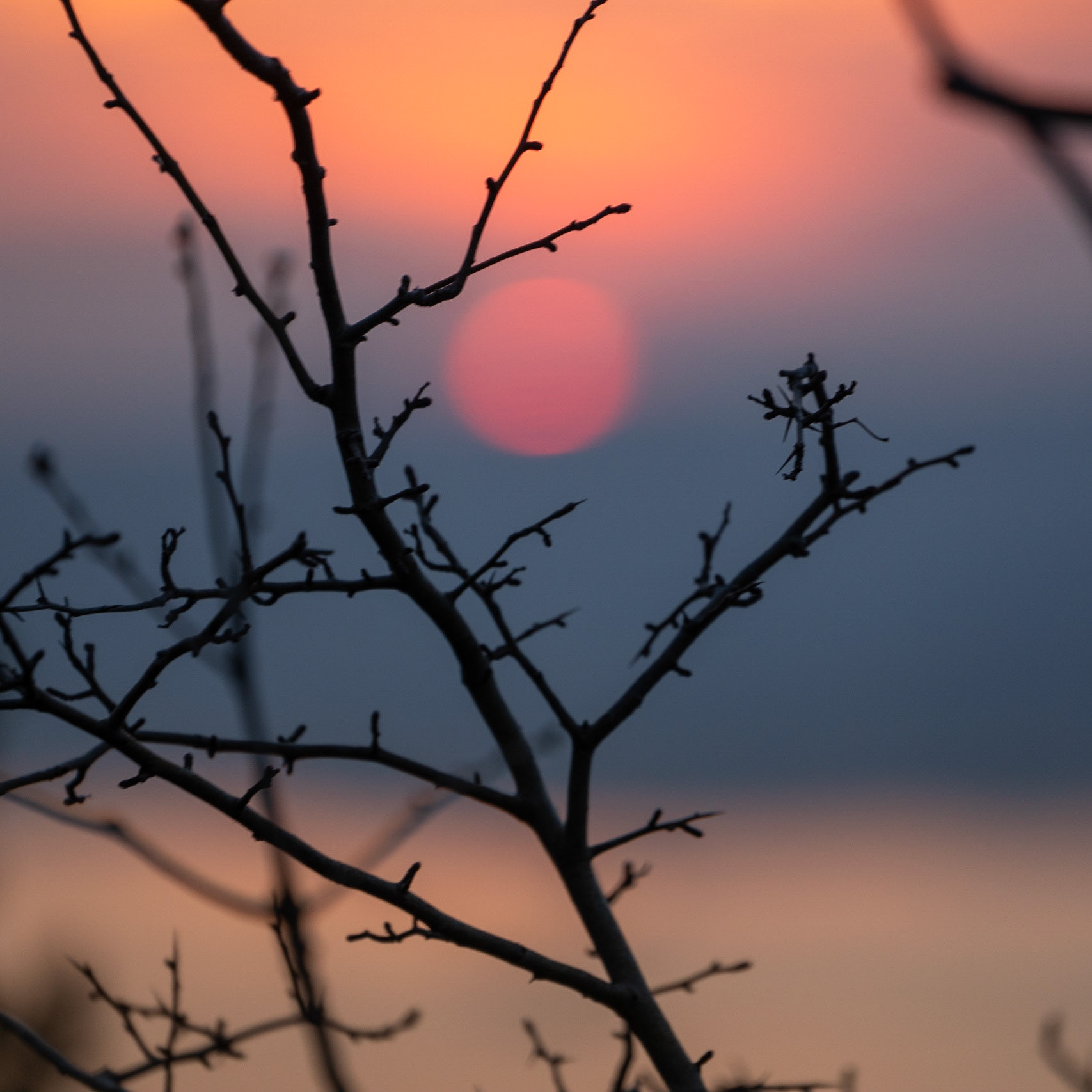 Anadolu Kavaǧı Bosphorus viewing point: sunset over the Bosphorus