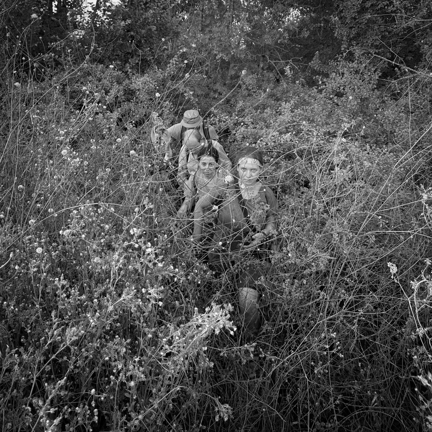 heading north from Bathonea: my hiking comrades looking like they've had enough of this plant tangle (me too)