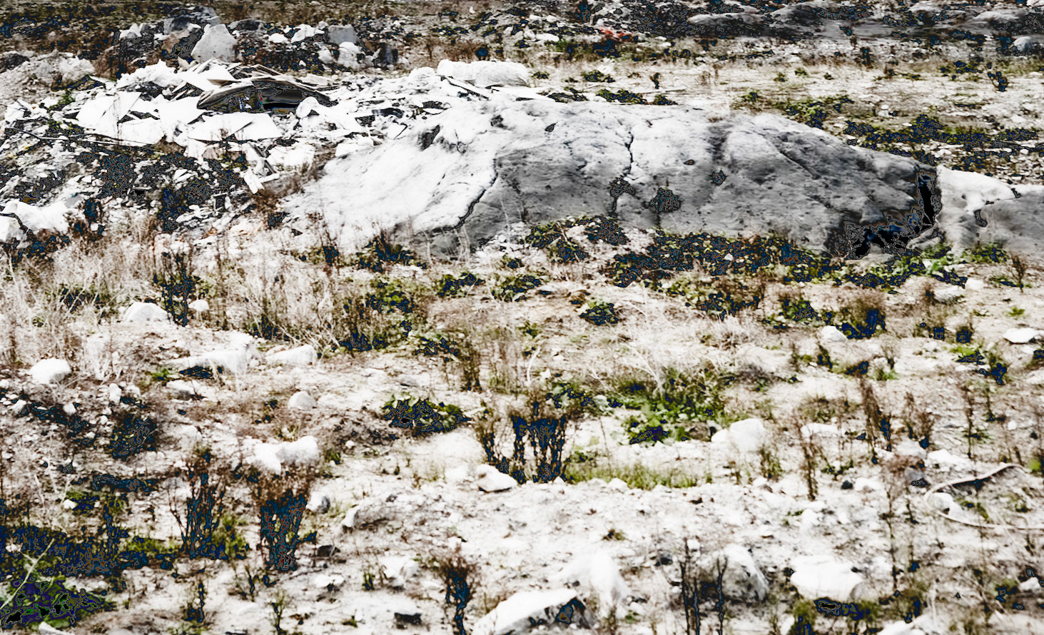 Black Sea coast east of Yeniköy: nearly barren shore land
