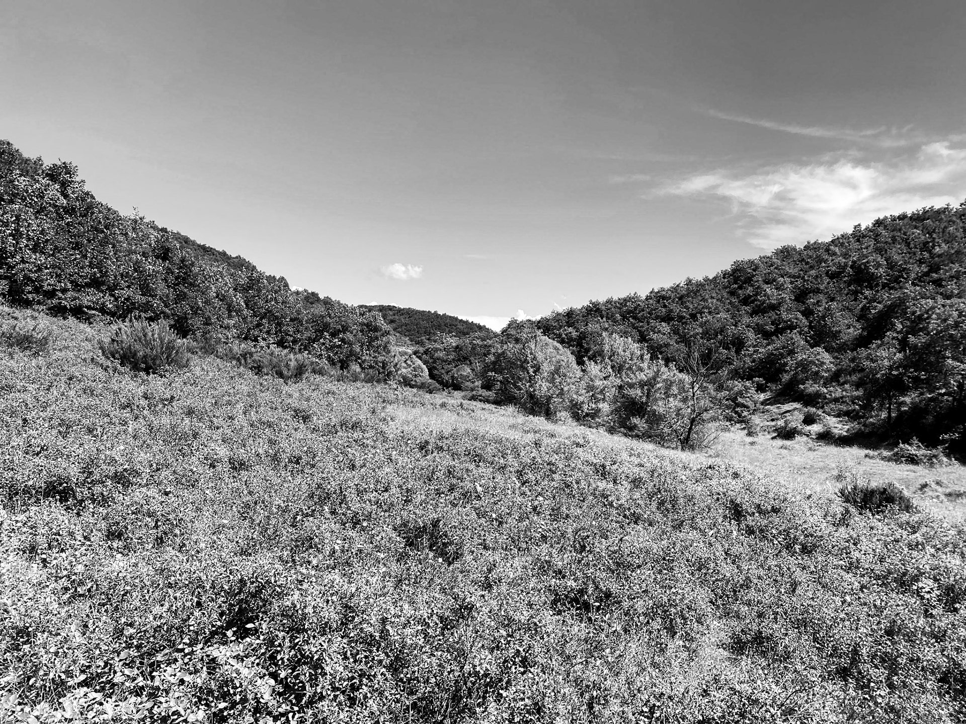 Yağcılar northwestern valley: view