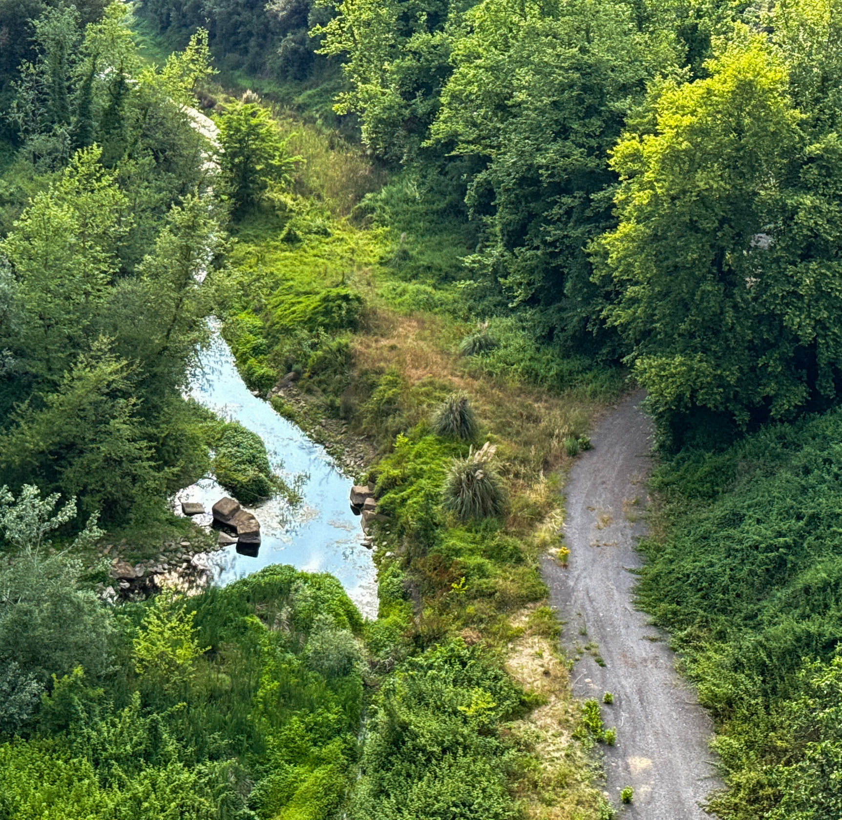 Elmalı 2 dam: view north