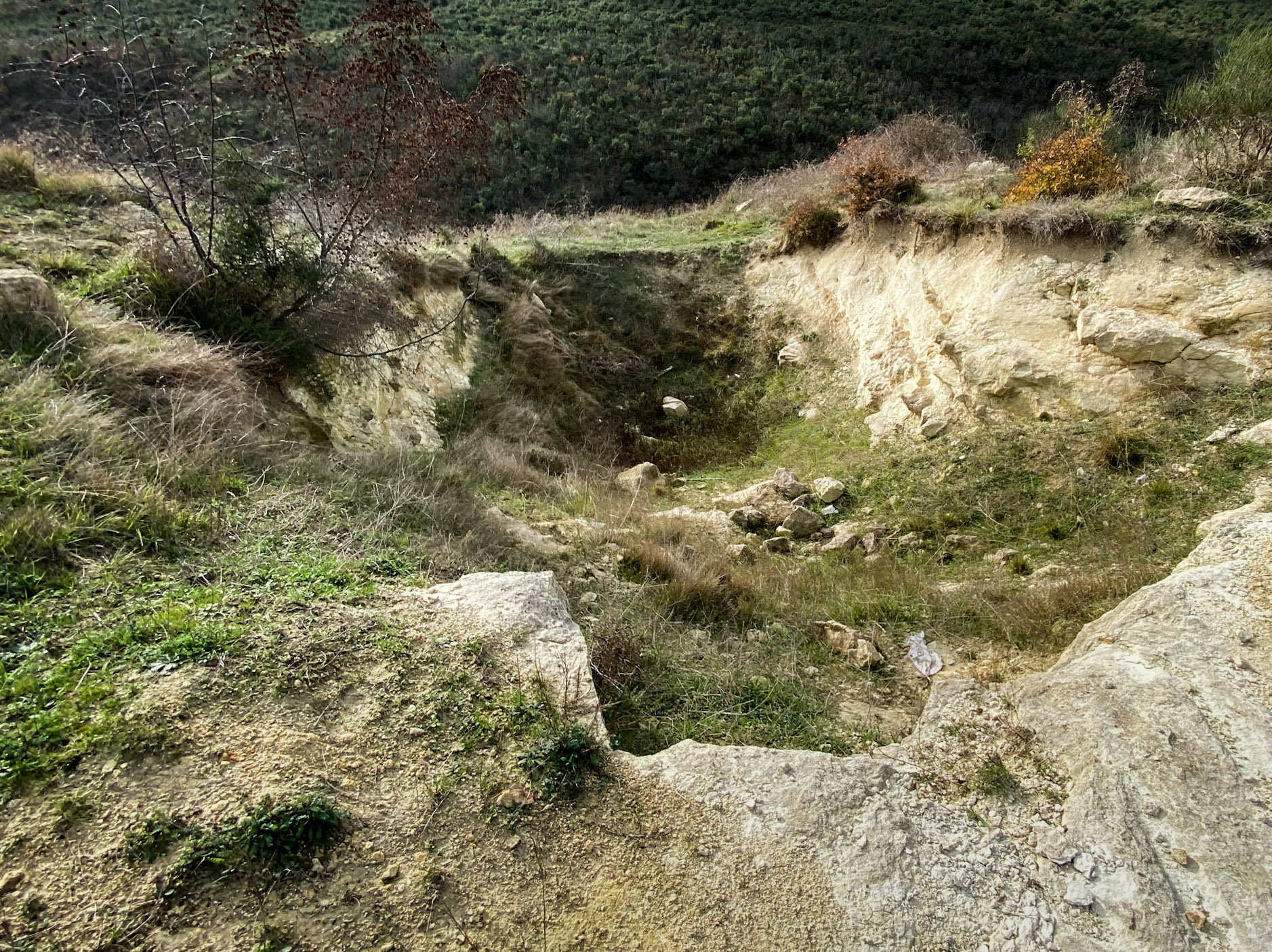 the site of Spradon: treasure-hunters' diggings perhaps