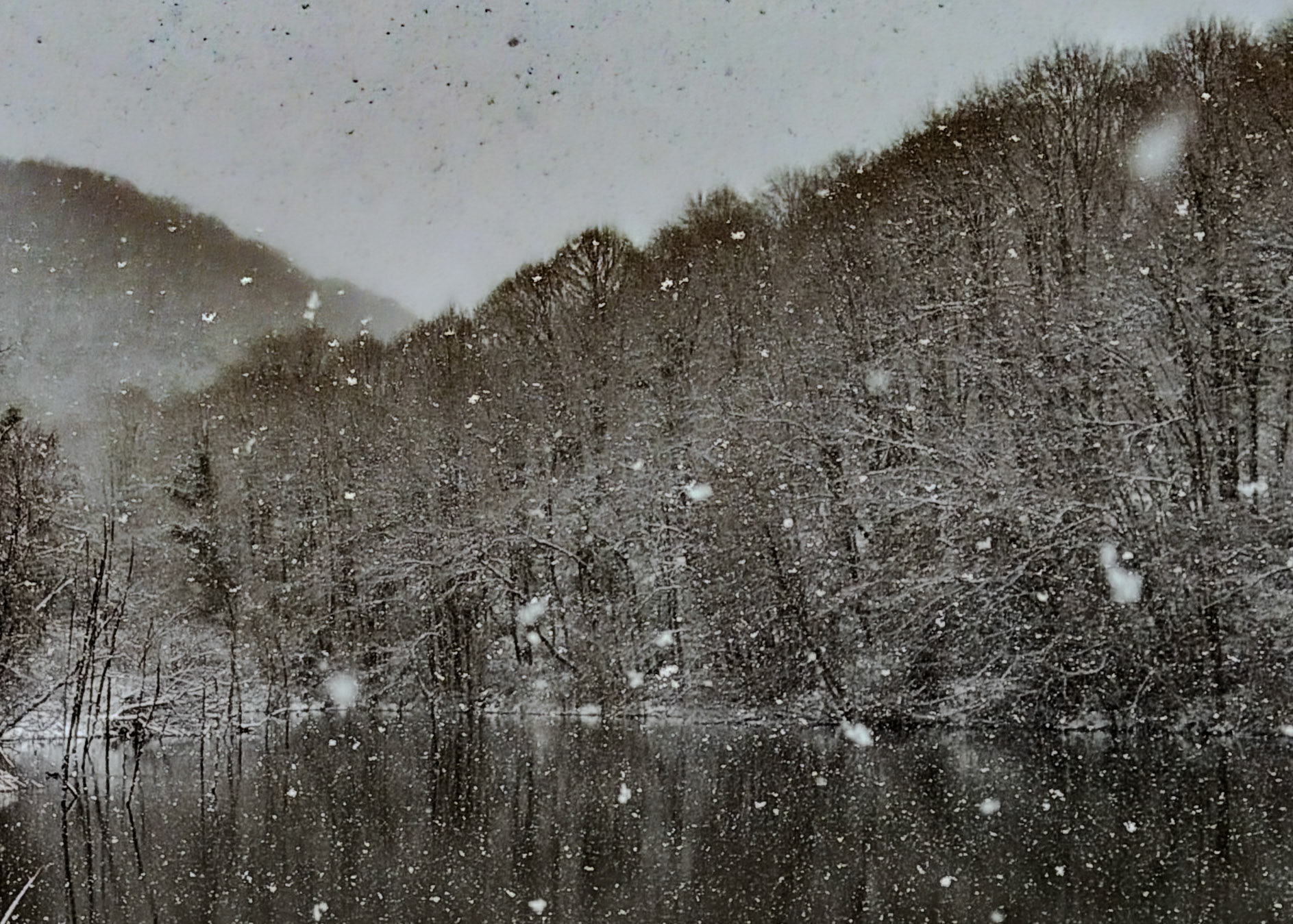 NW Zekeriyaköy pond: it's snowing!