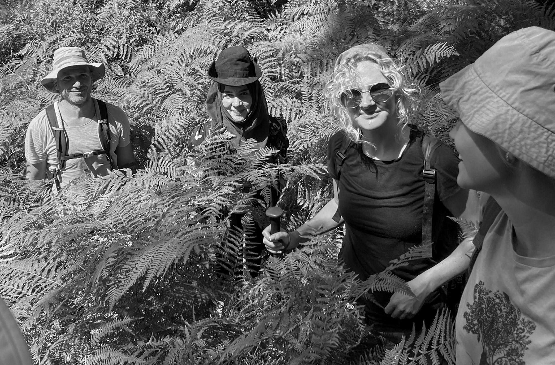 Karatay wood: hikers and bracken