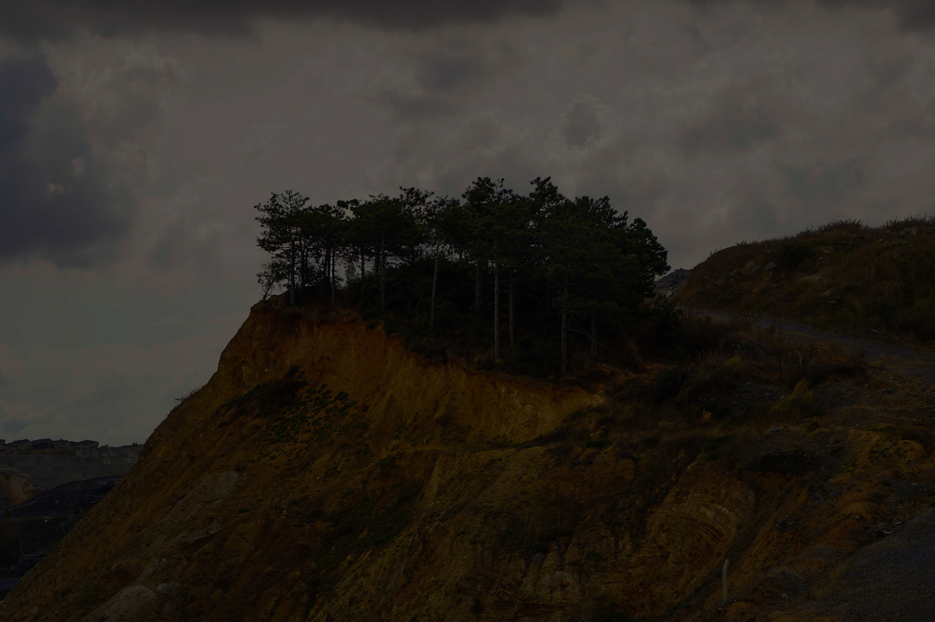 Cebeci: last redoubt of trees