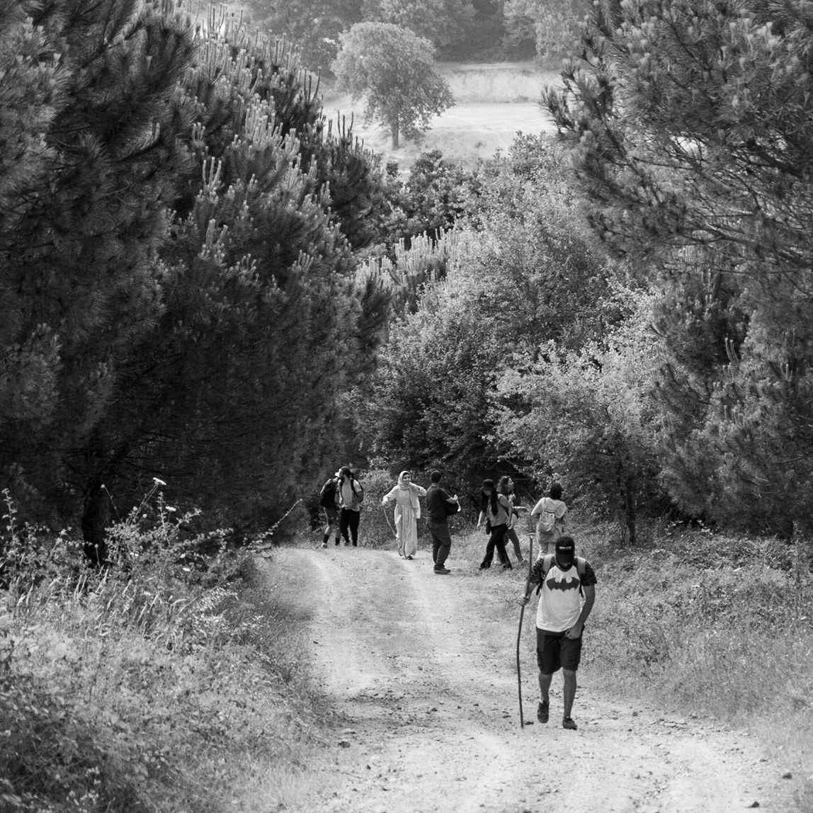 Ortadaǧ small hill: walking up a track