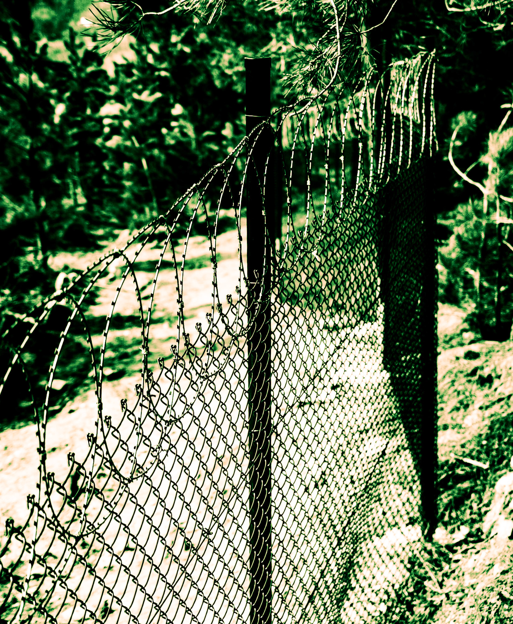 Kirazlı woods: the northern perimeter fence