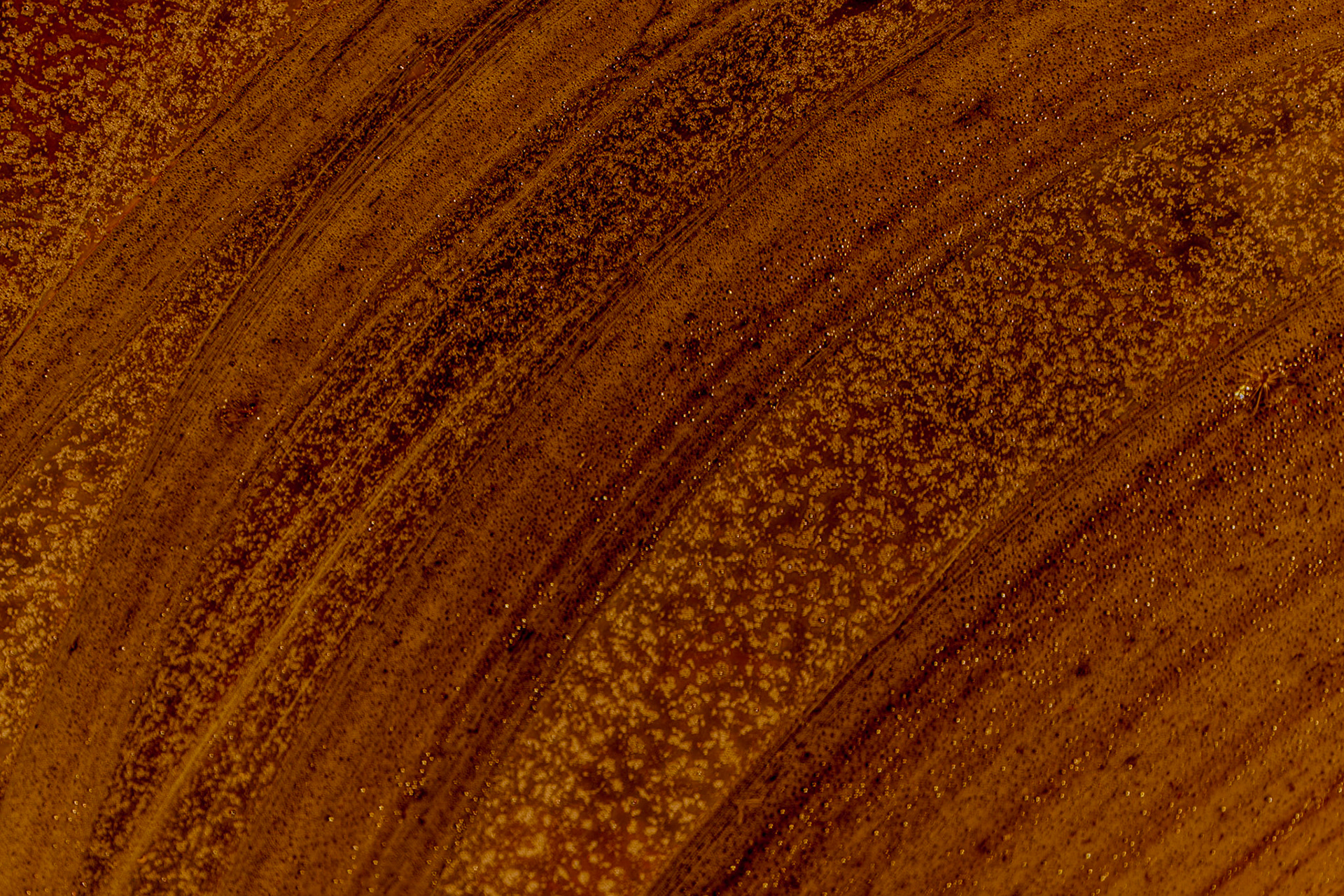 the Değirmendere: swirls of scum