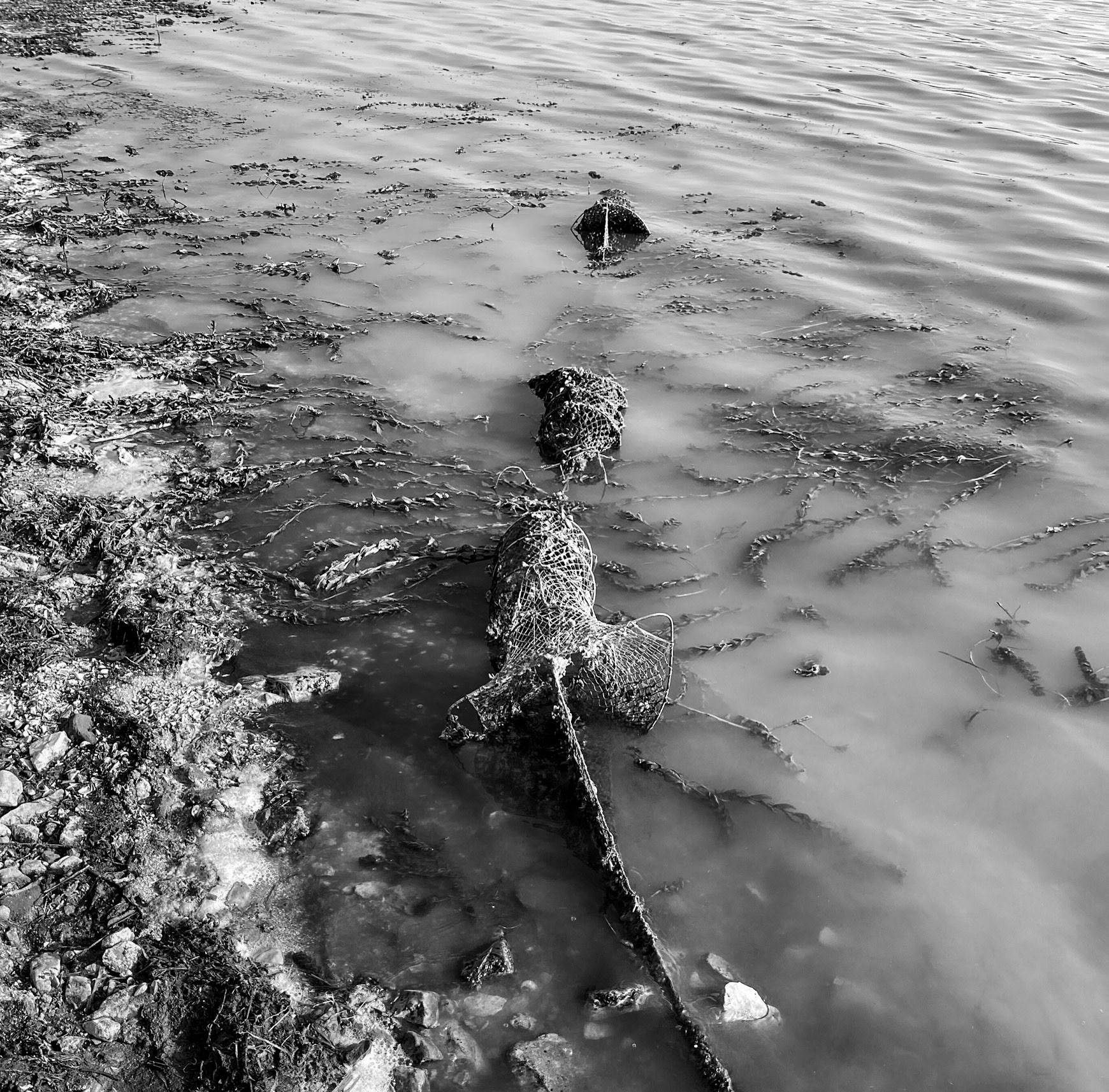 Trikos mudflats: fishing tackle