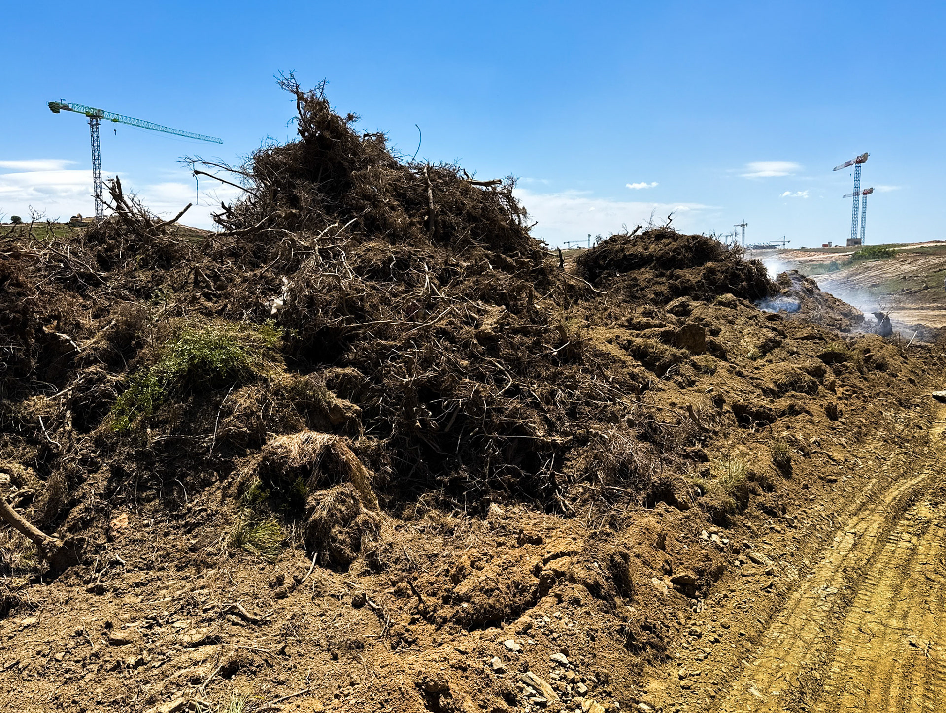 Kocabayır hill: pile of smouldering vegetation