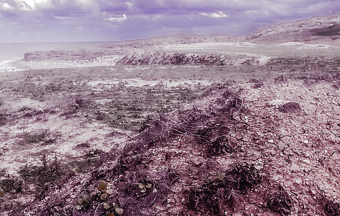 Black Sea coast east of Yeniköy: low cliffs