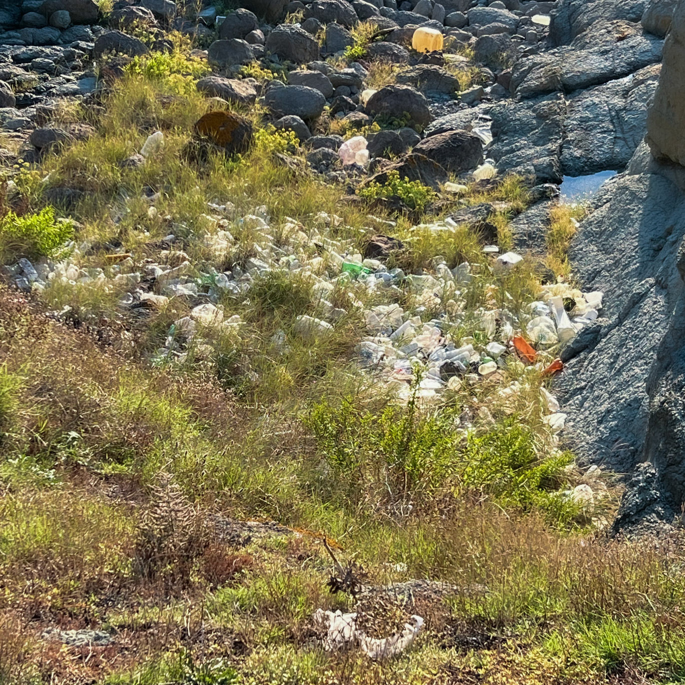 heading west along the line of the Black Sea: plastic flotsam