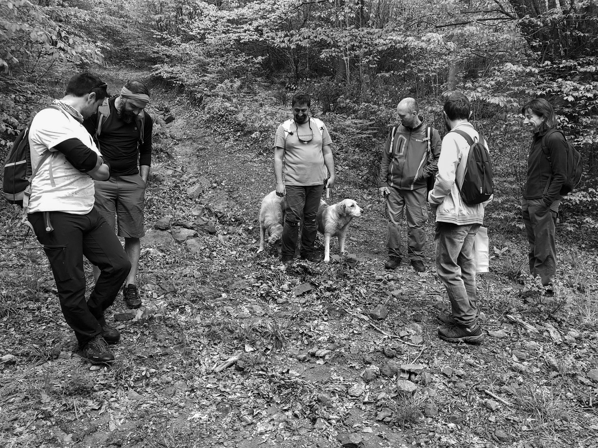 between Bozhane and Kılıçlı Köyü: our day-dogs attach themselves to Oytun