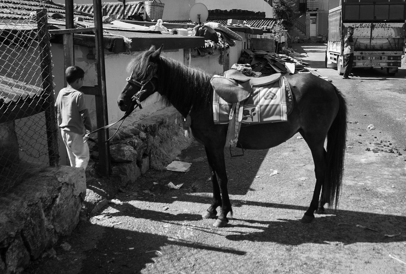 Ömerliköy: Roma (probably) child with a horse