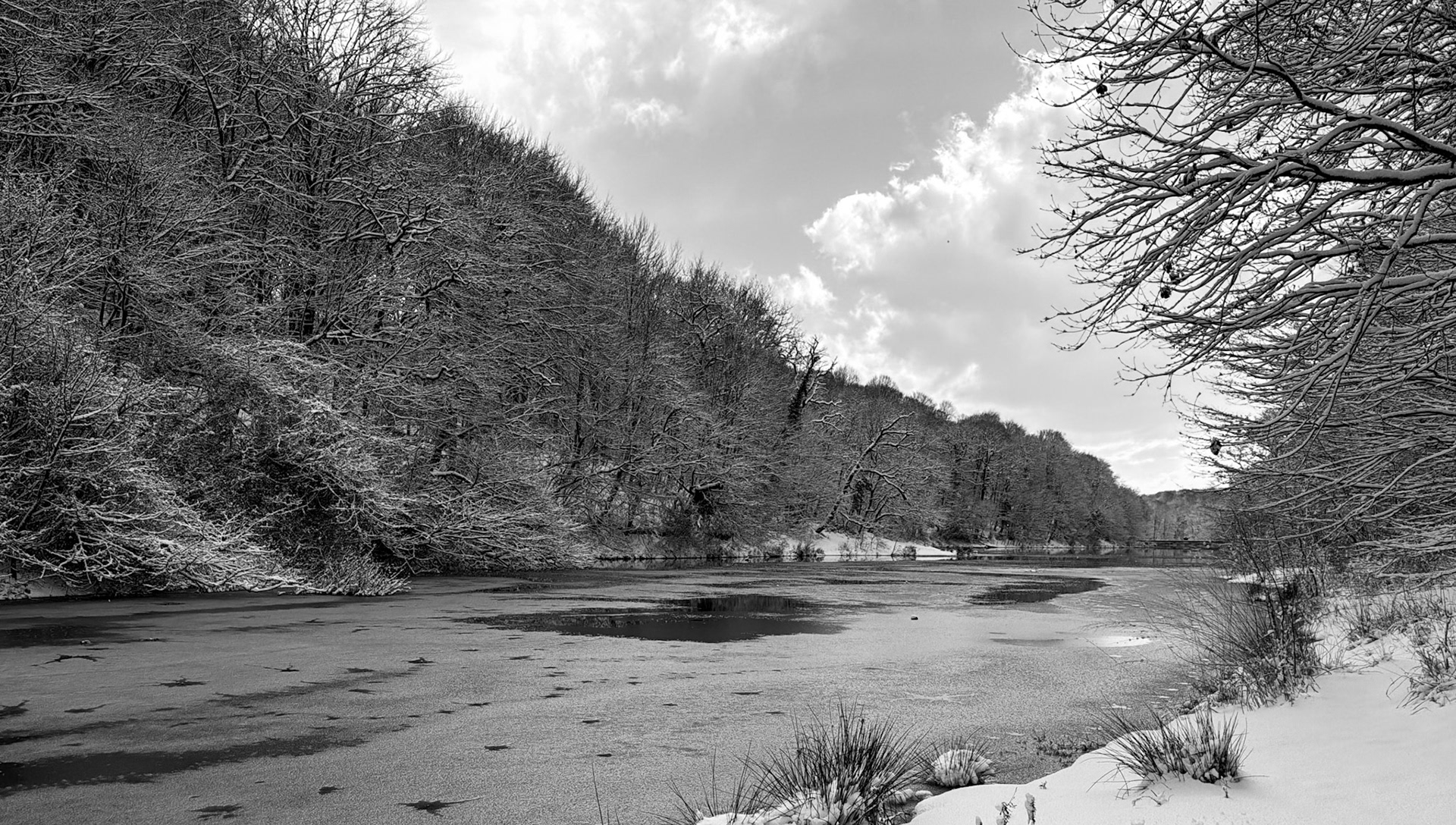 Valide Sultan reservoir: ice, trees and snow