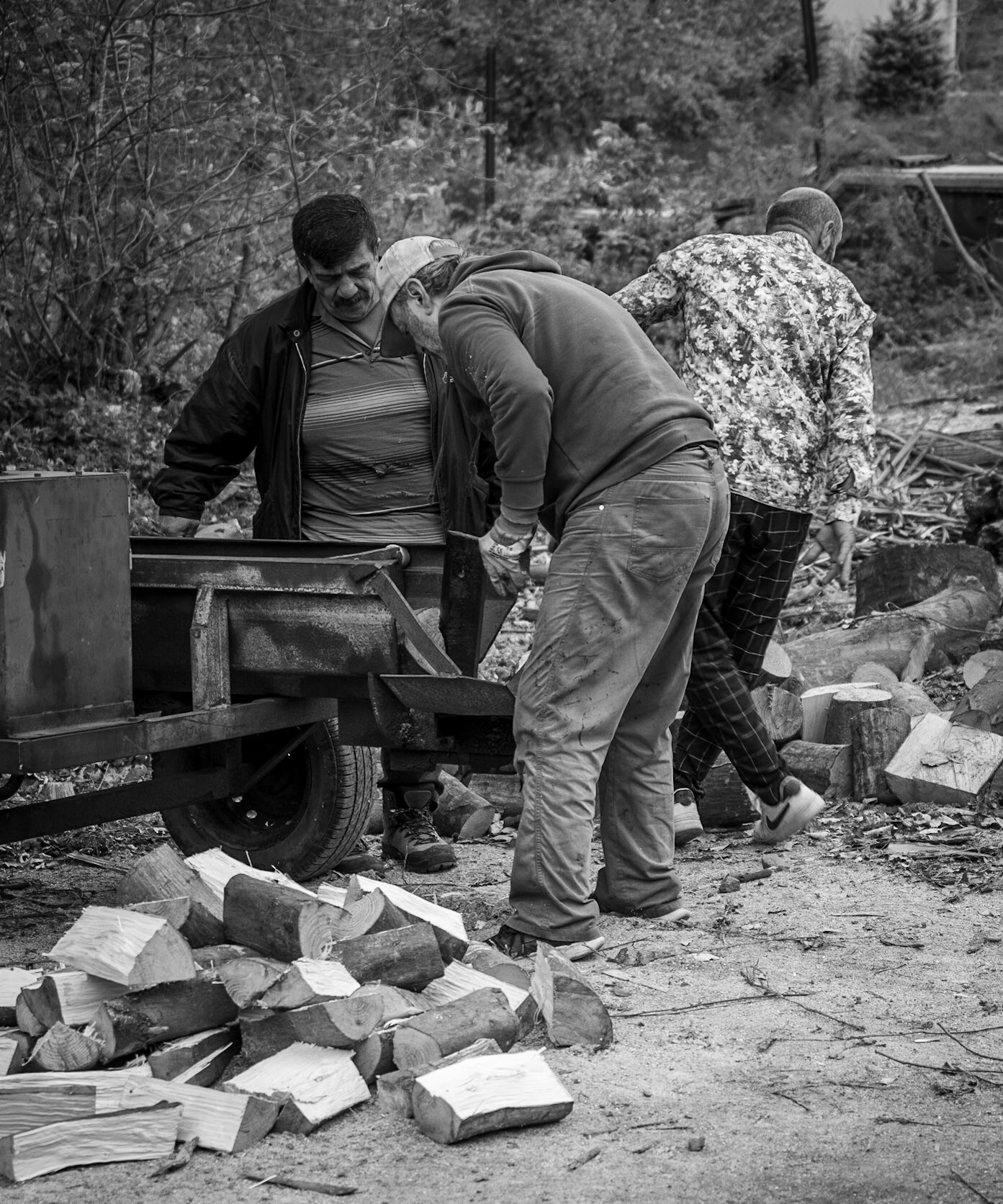 Kaynarca estate: woodcutters