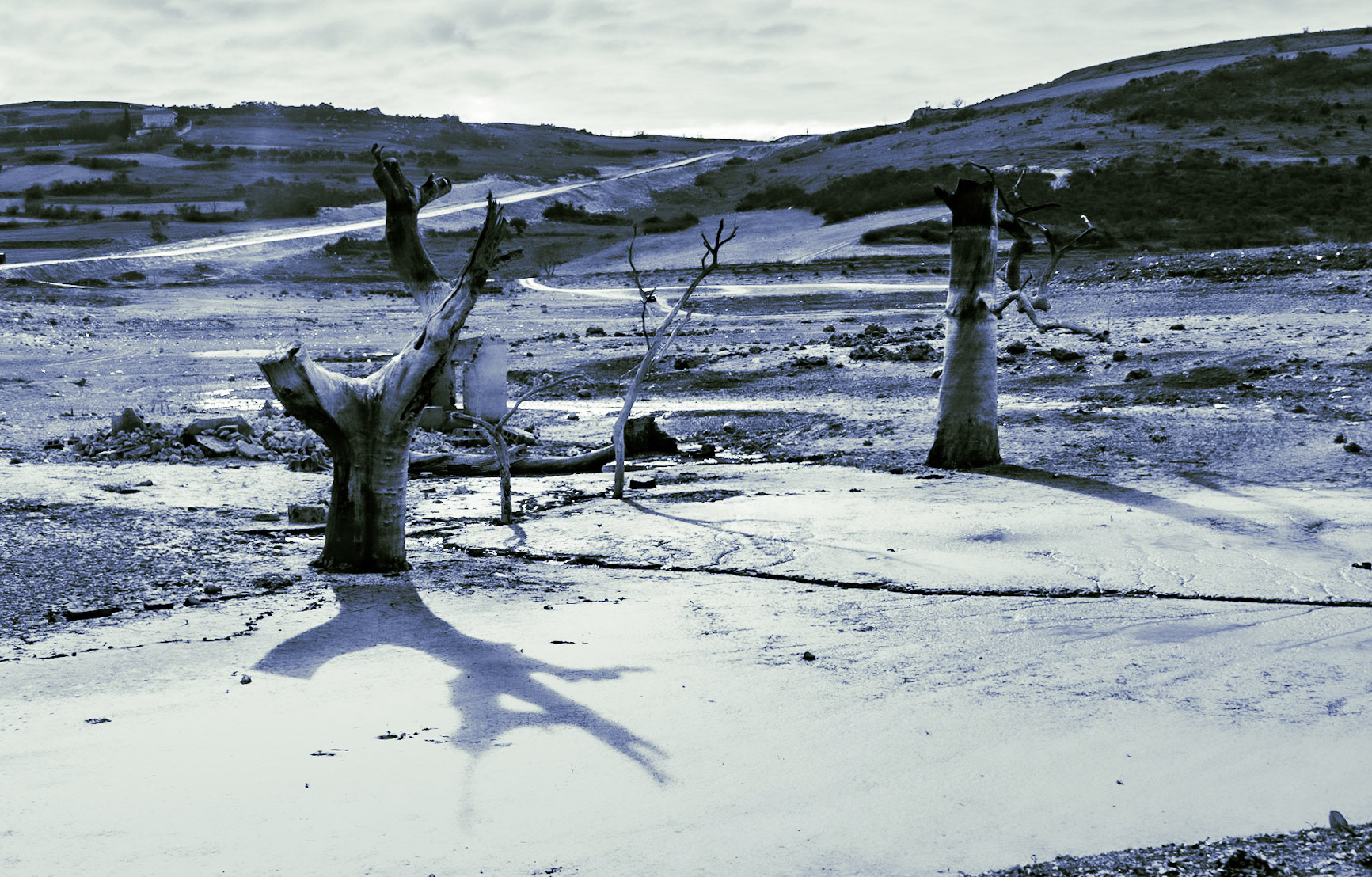 Şamlar: long-submerged and long-dead plane trees in the almost-dry Sazlıdere reservoir bed south of the village