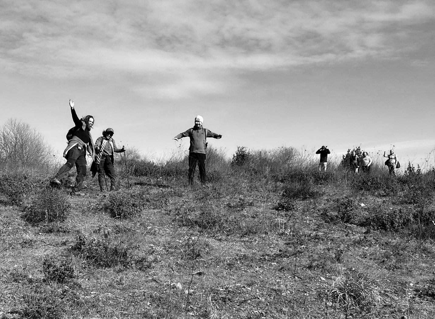 Akbaba northern forest: clearing