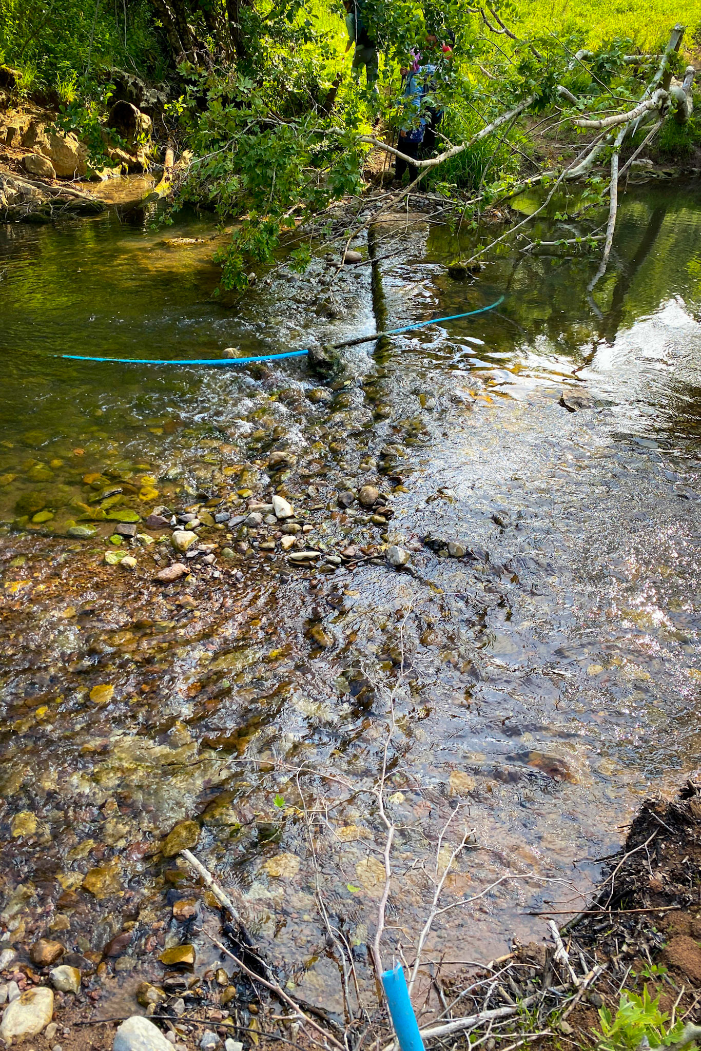 Hasanlı western stream: weir crossing