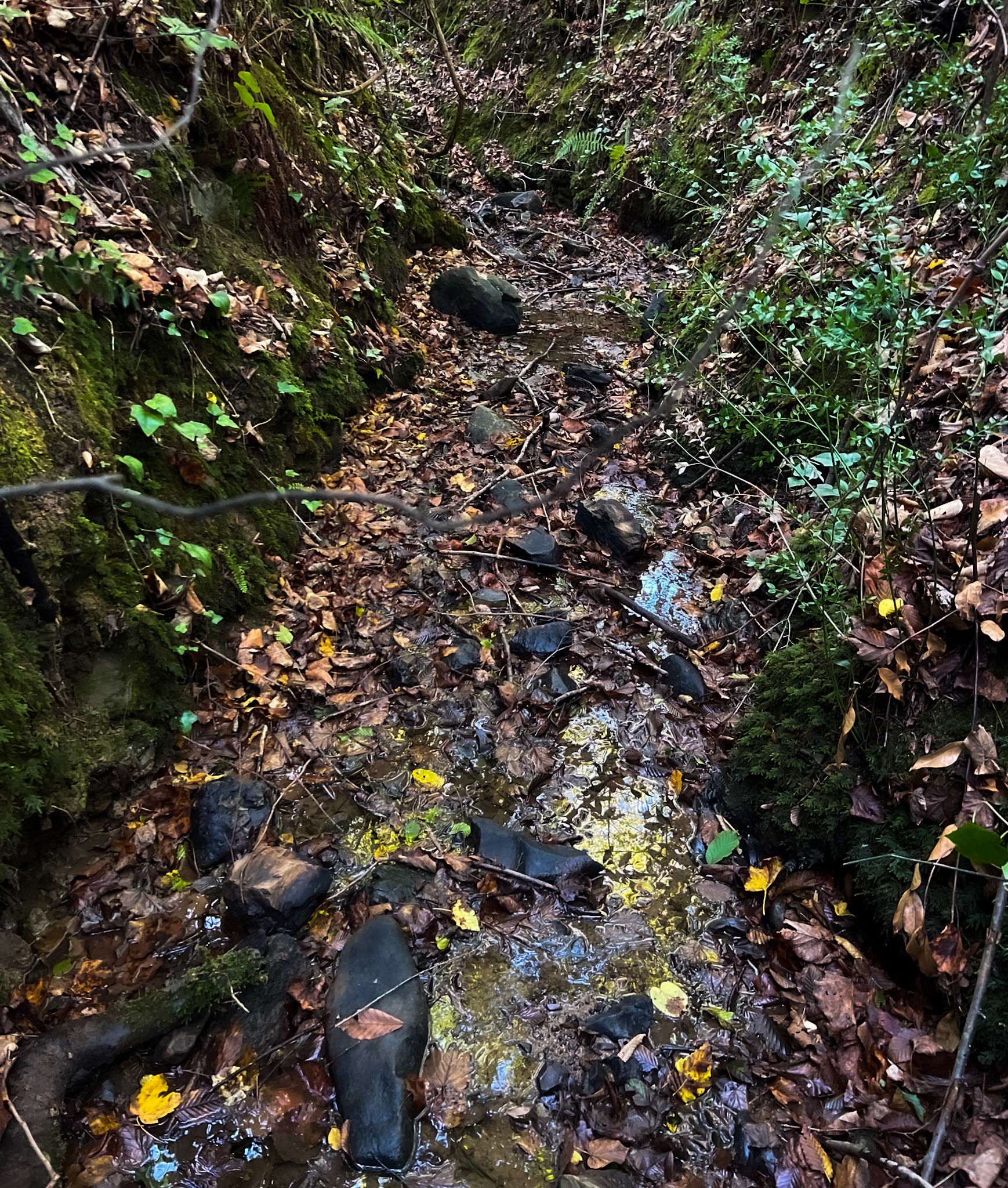 A Deǧirmen tributary streamwalk: streambed