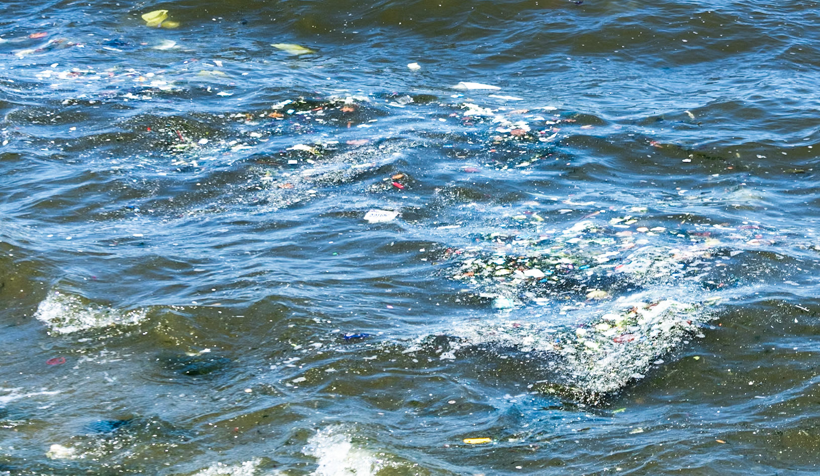 Küçükçekmece lake: flotsam