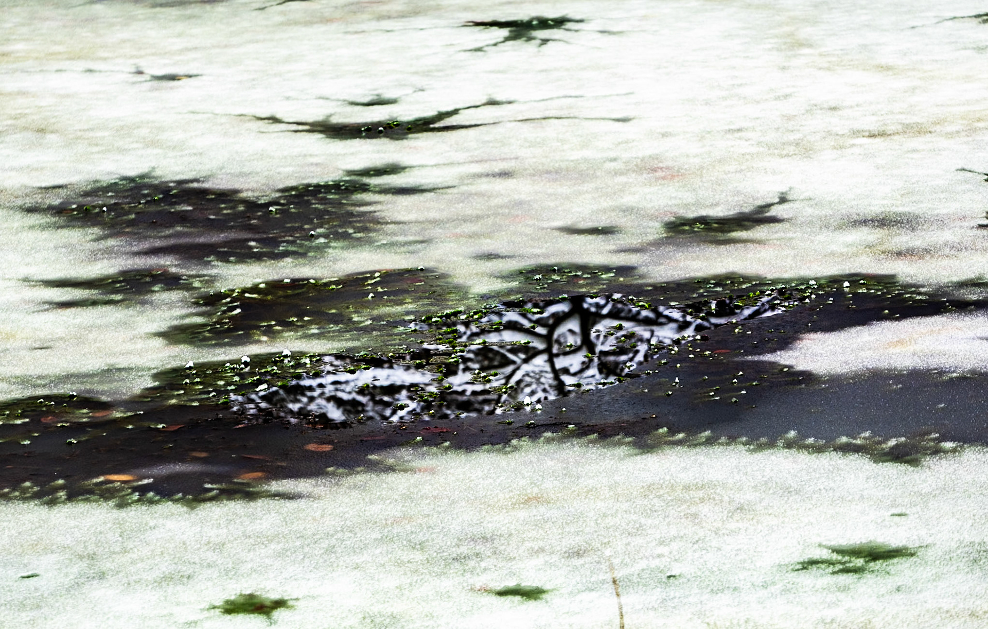 Valide Sultan reservoir: reflections and ice
