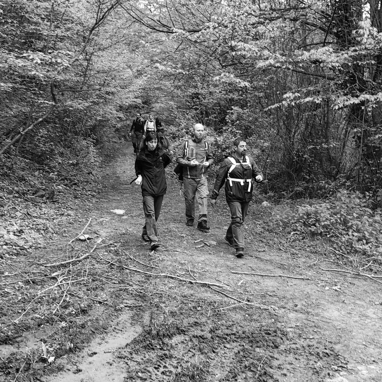 between Bozhane and Kılıçlı Köyü: striding through the woods