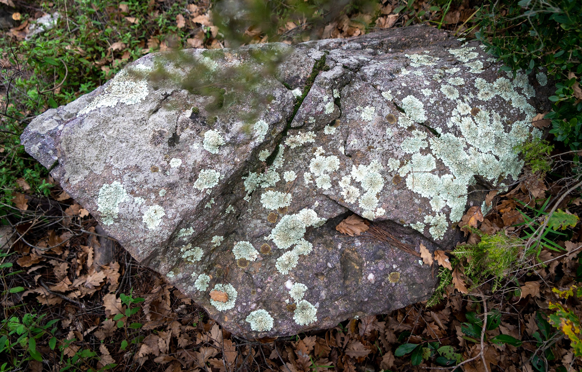 Ömerli reservoir: lichen-spotted stone