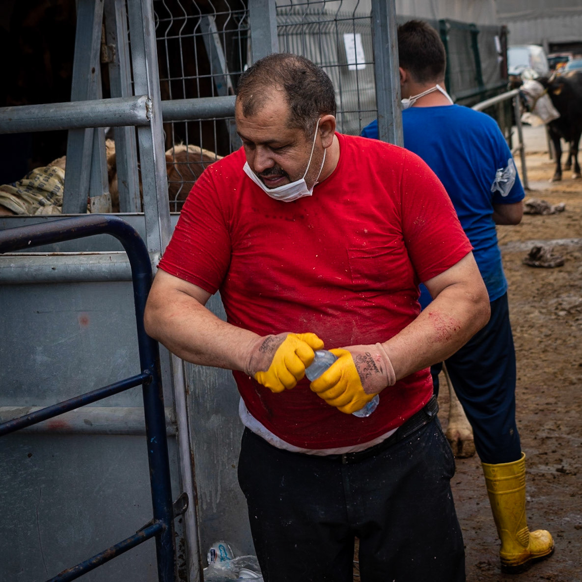 Alibeyköy Kurban Satış ve Kesim Alanı: slaughterman