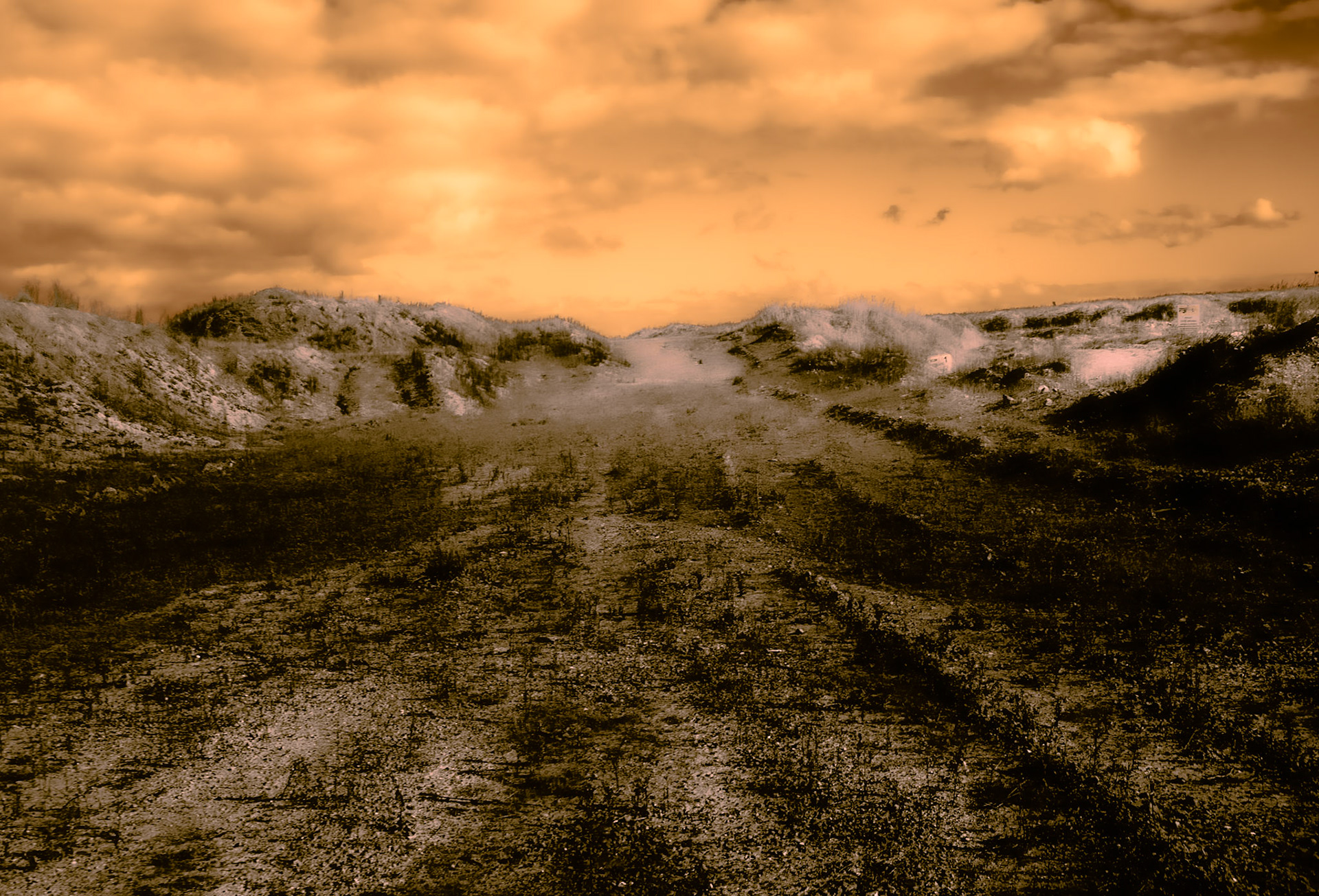 heading west from Akpınar: abstracted landscape