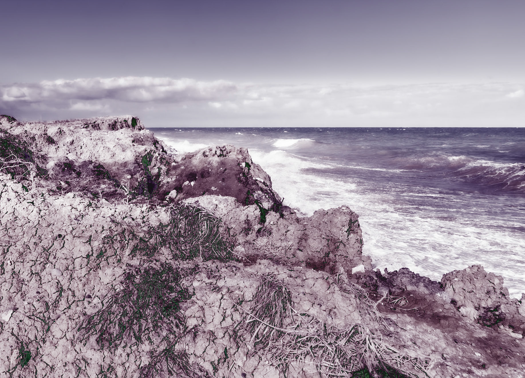 Black Sea coast east of Yeniköy: earth cliffs and sea
