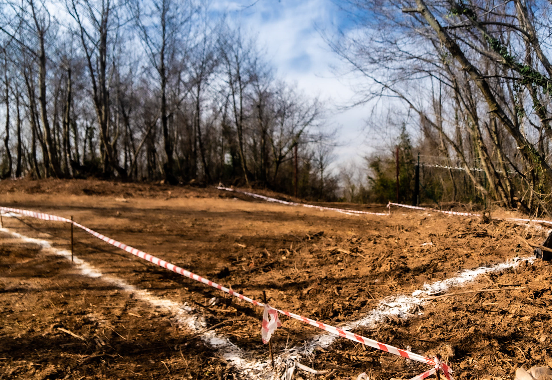 Kaymakdonduran woods: recently demarcated and cleared land