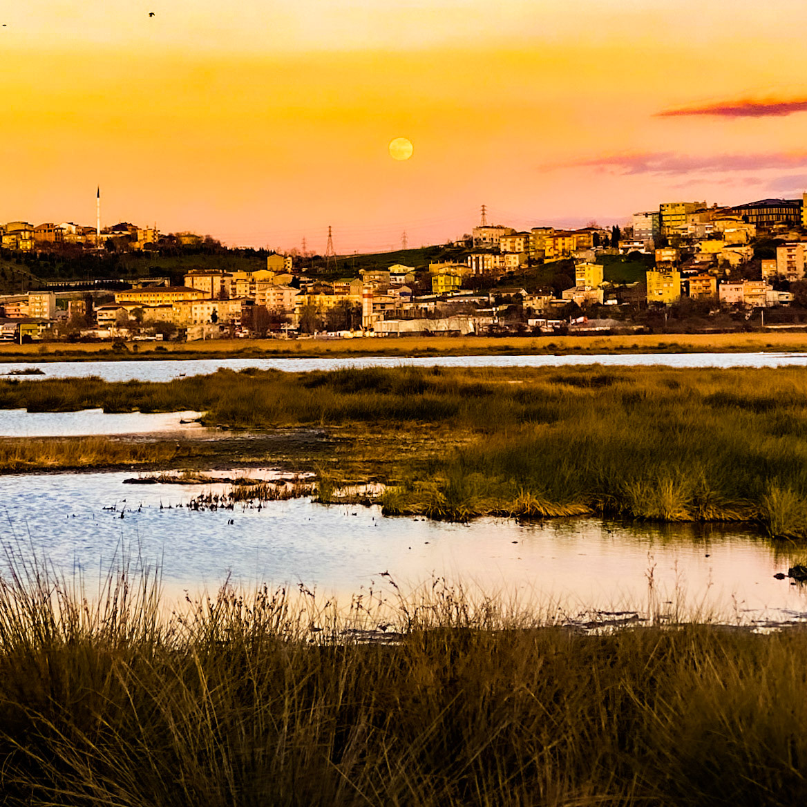 Küçükçekmece northwestern marsh: moonrise over Yarımburgaz