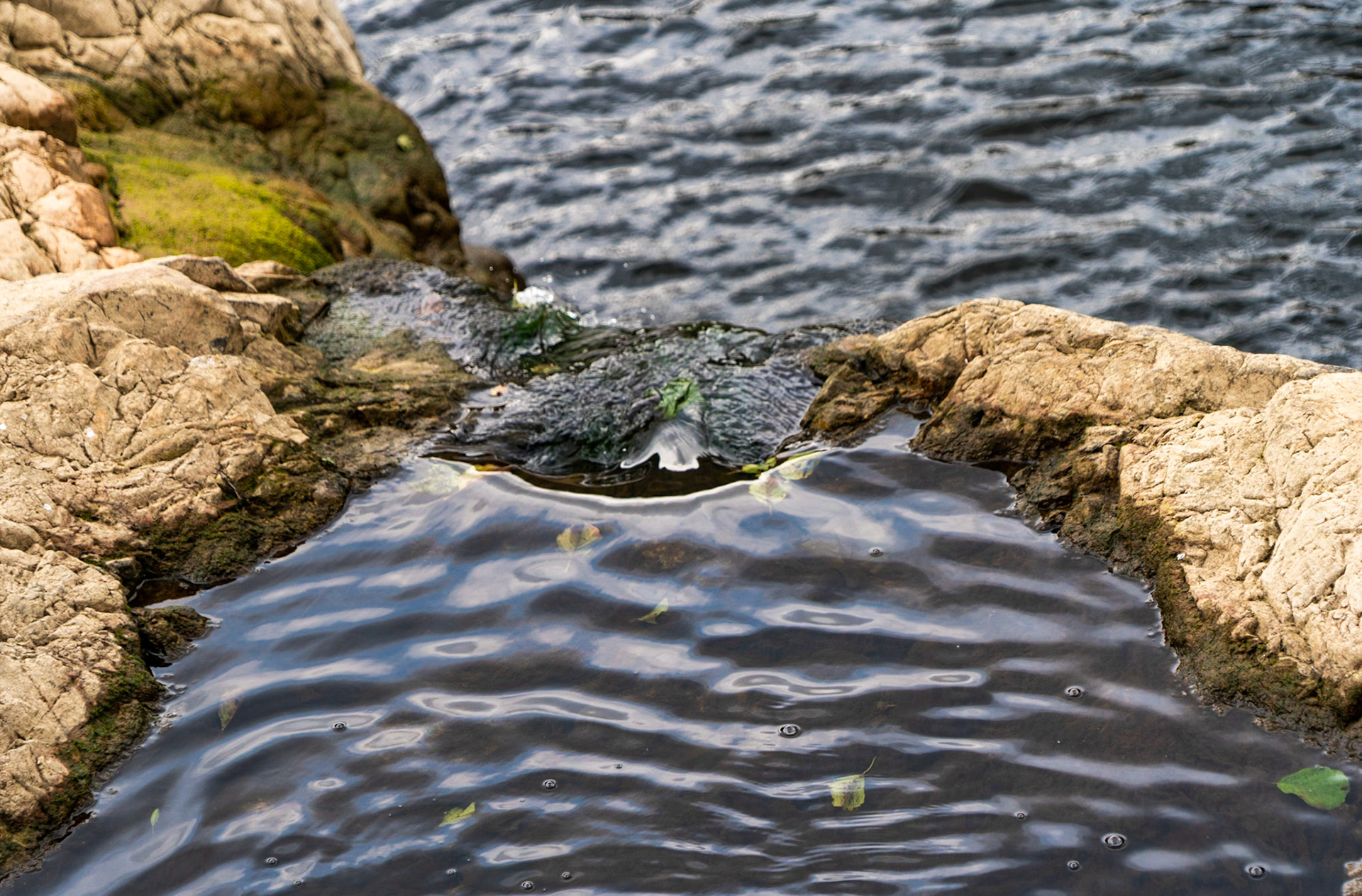 Paşaköy gorge: the small waterfall east of Paşaköy dam