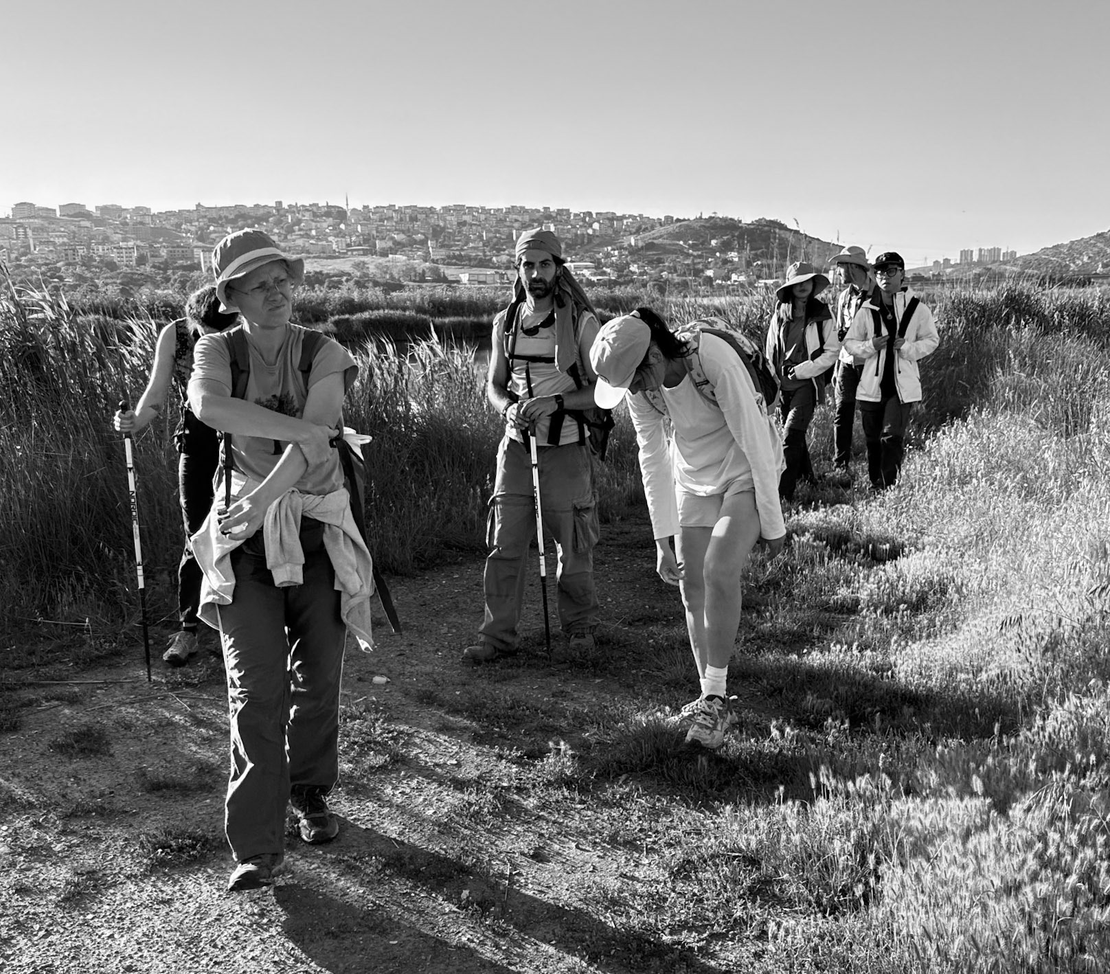 Küçükçekmece NE marsh: heading south