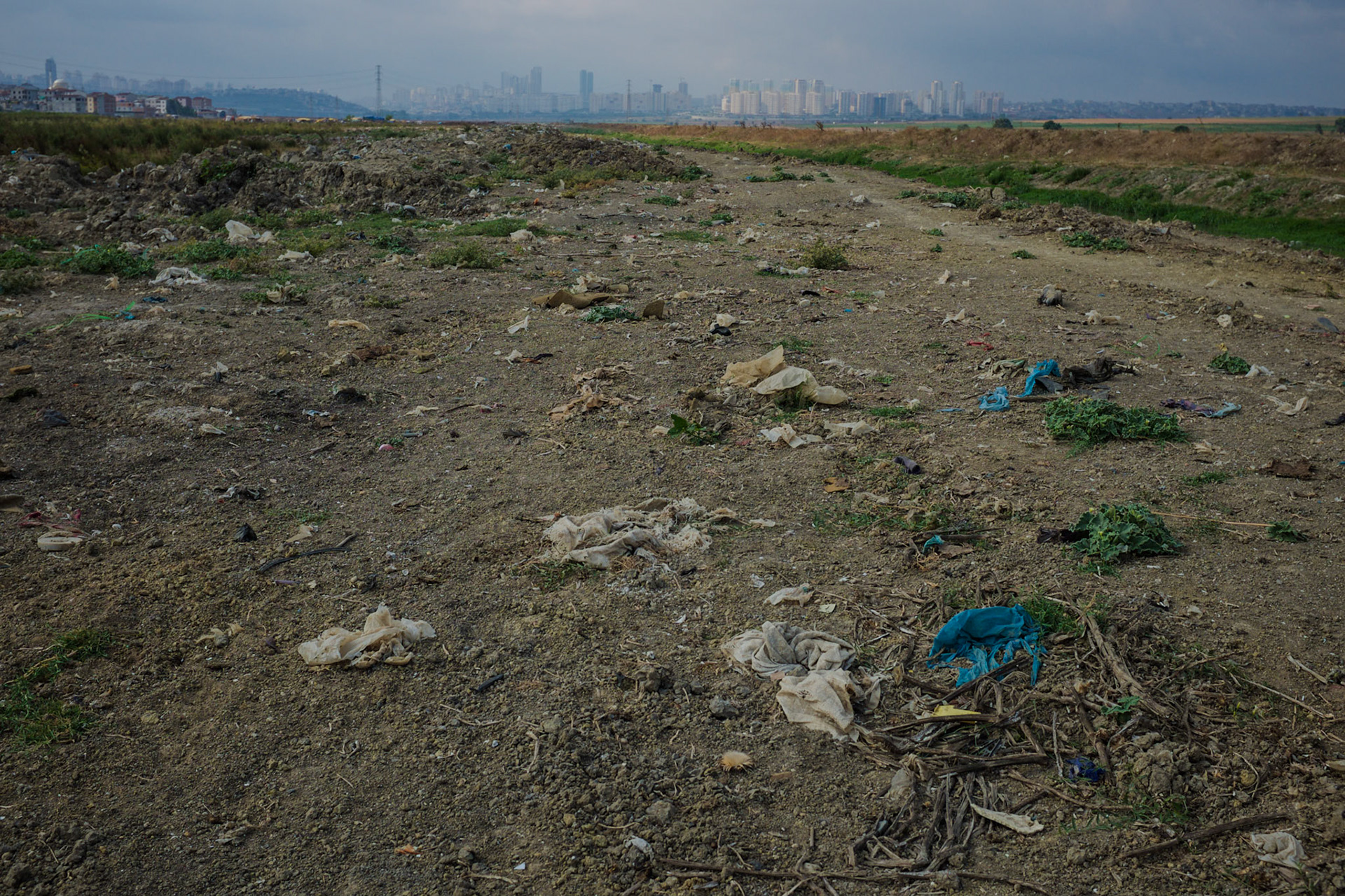 between Istanbul University's veterinary farm and the agricultural faculty: looking north along track on the western side of the Hadımdere