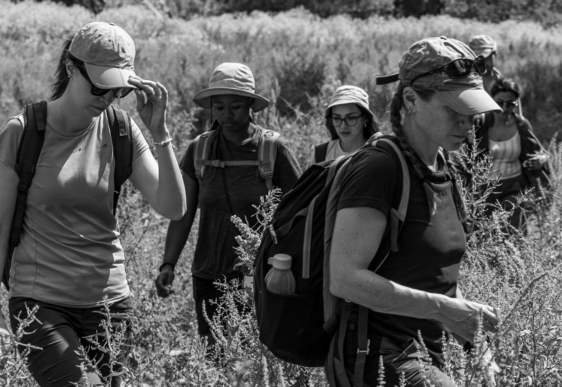 Değirmendere valley: making our way along a somewhat overgrown path