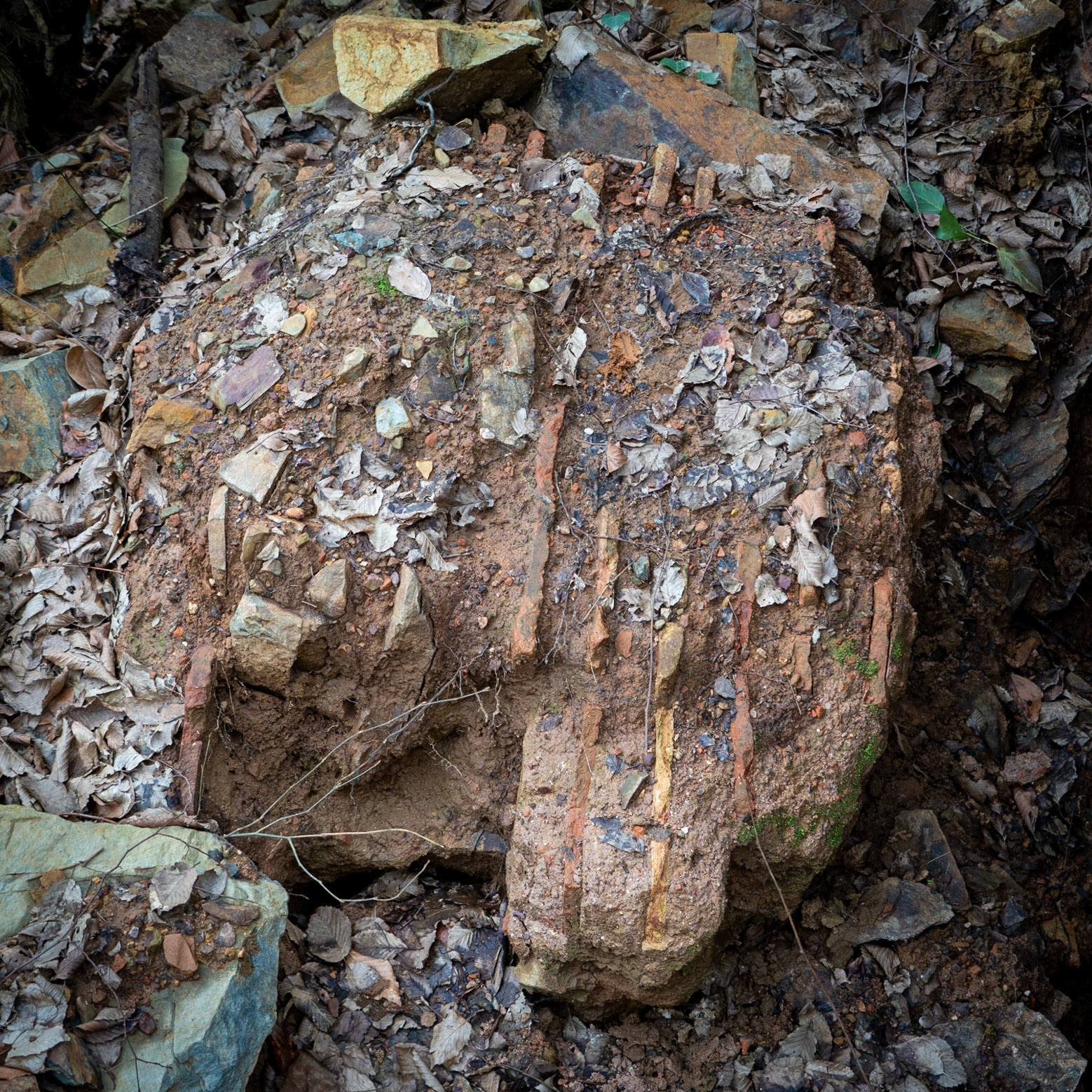 Alemdaǧ forest: masonry cast aside by treasure hunters