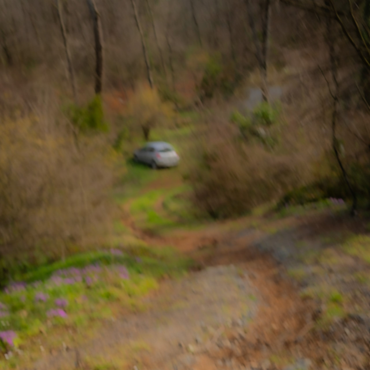 Kaymakdonduran woods: car parked in the woods