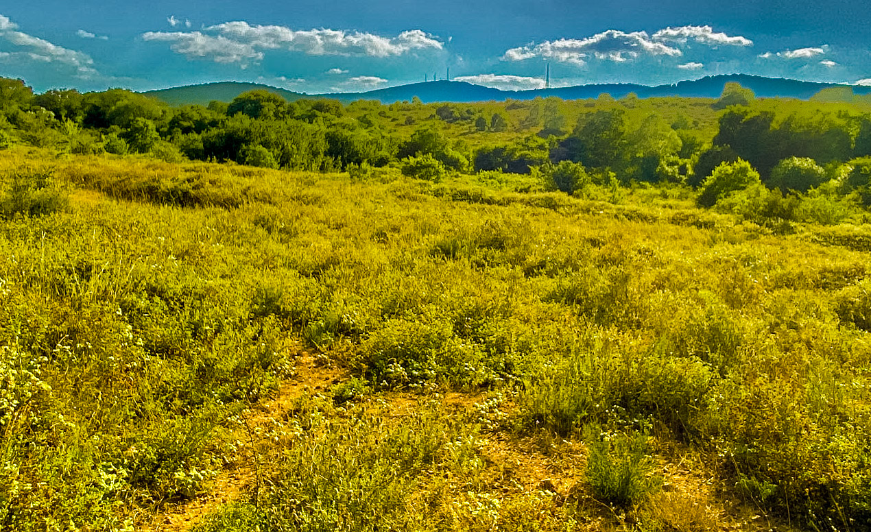 Ortadaǧ large hill: view