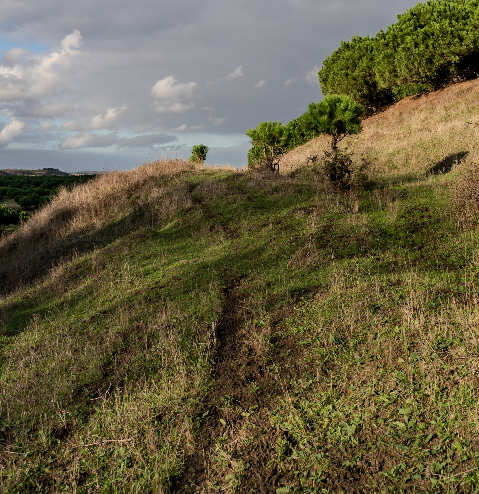 heading west from Akpınar: former mining land, now poor pasture and scrub