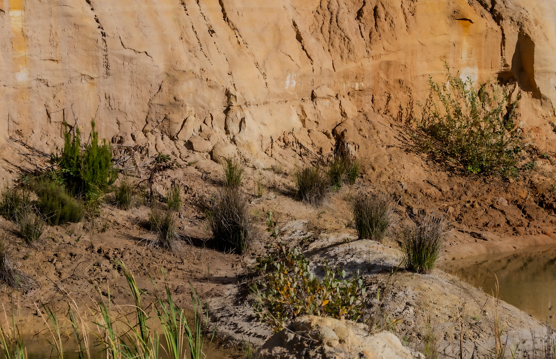 Alacalı sand quarry: the currently abandoned part