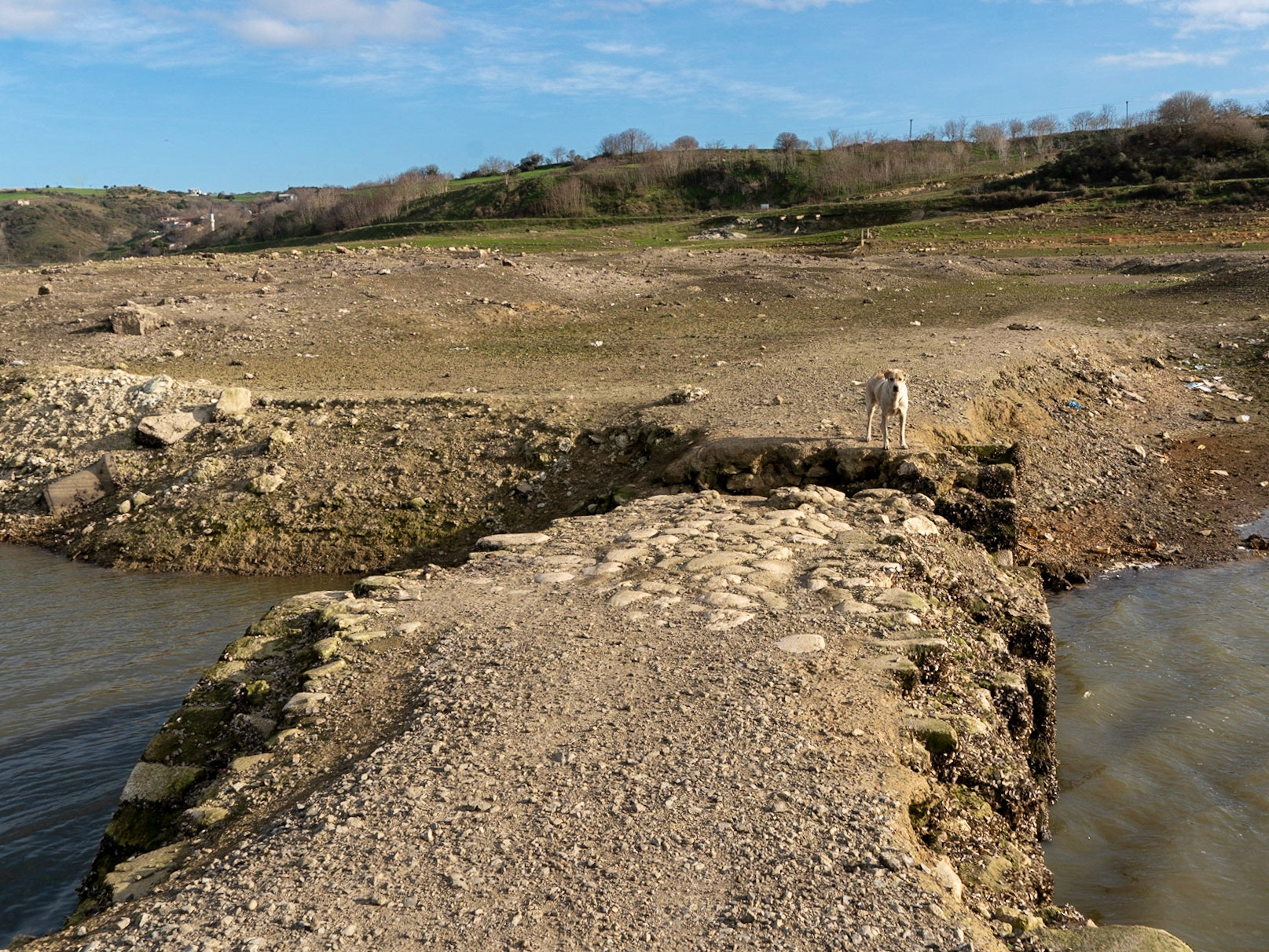 Şamlar: the long-submerged Ottoman bridge in the almost-dry Sazlıdere reservoir bed south of the village; our (pale) day-dog couldn't manage the gap and waited for us on the village side of the bridge