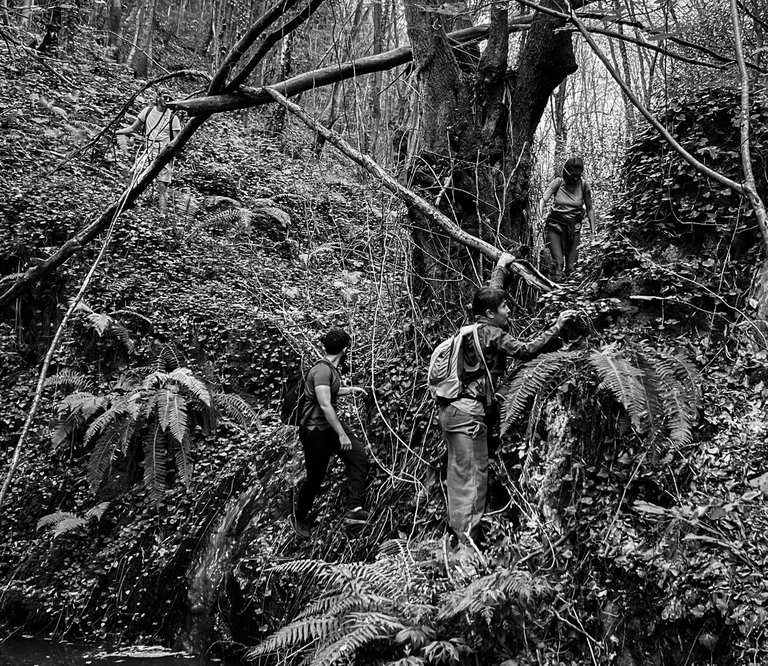 Zerzevat east streamwalk: old tree and hikers